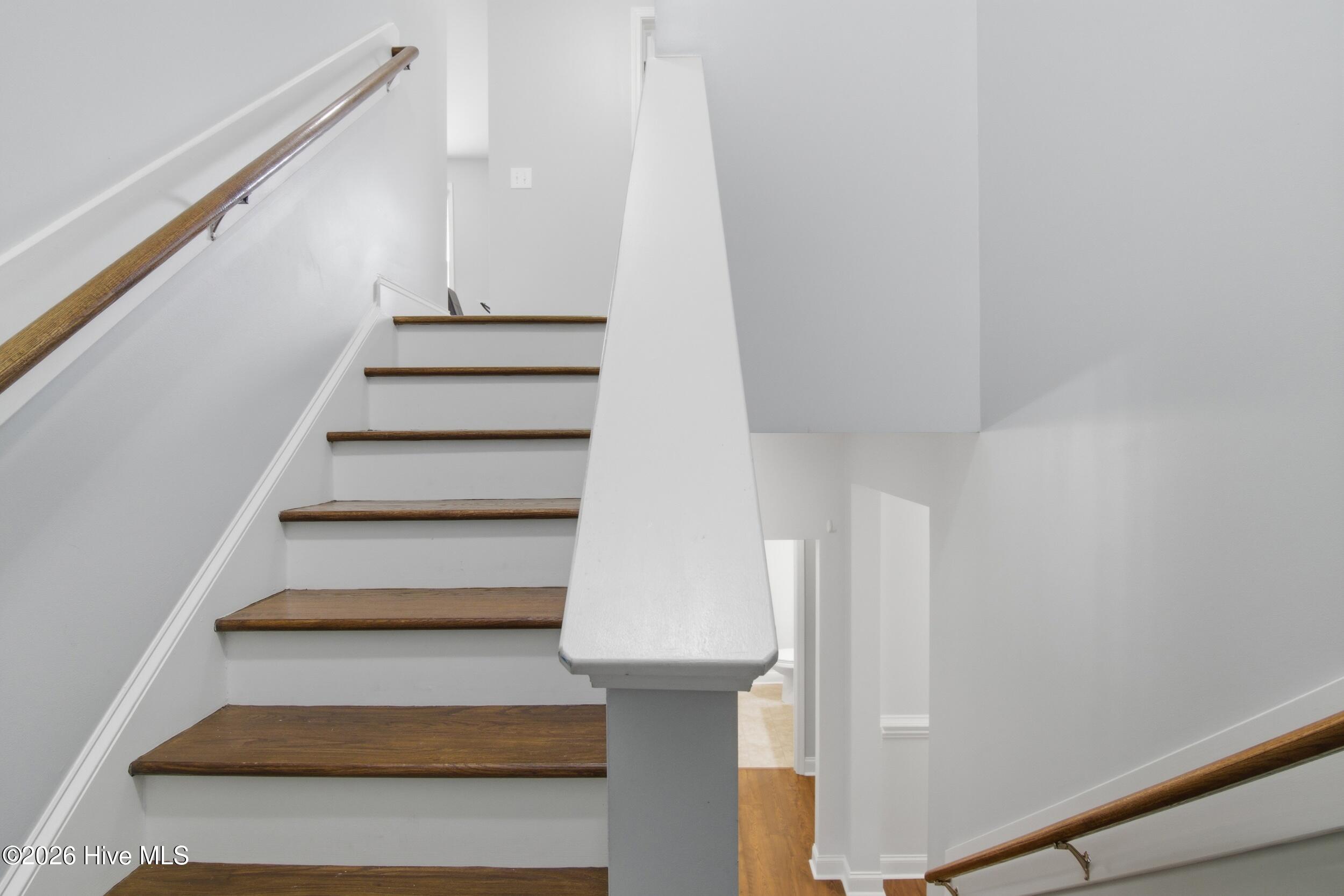 100556252 | Photo 40