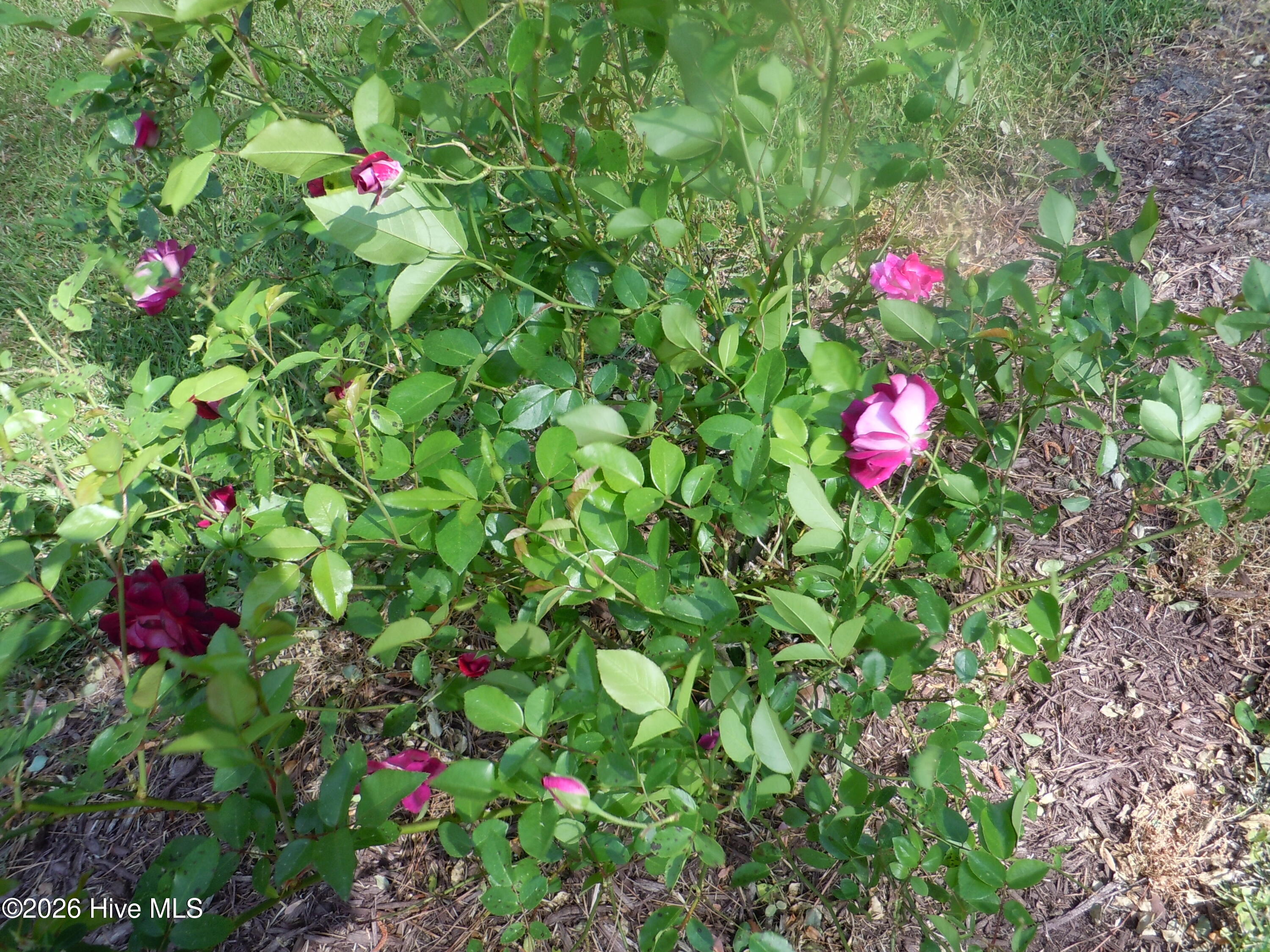 100565129 | Photo 105