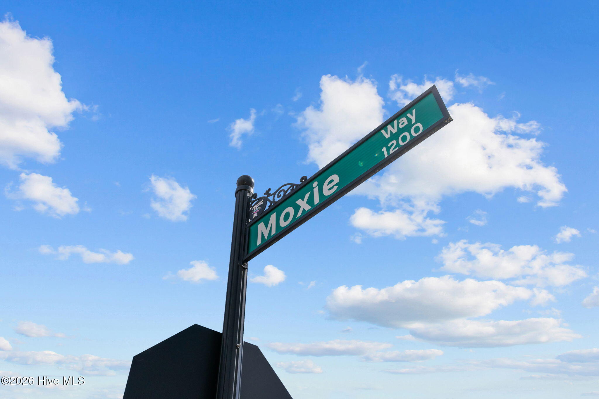 100560533 | Photo 35