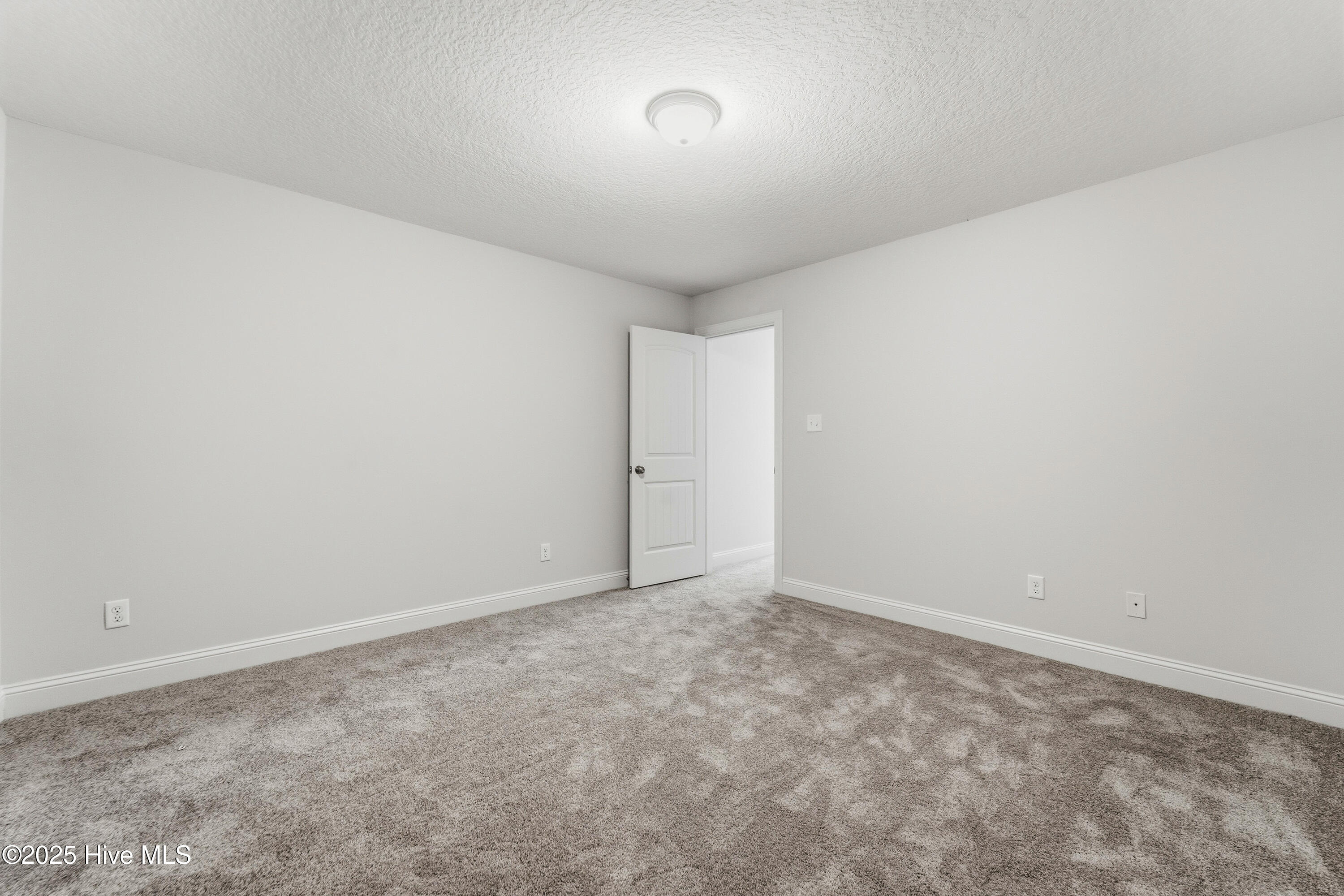 100507168 | Photo 34