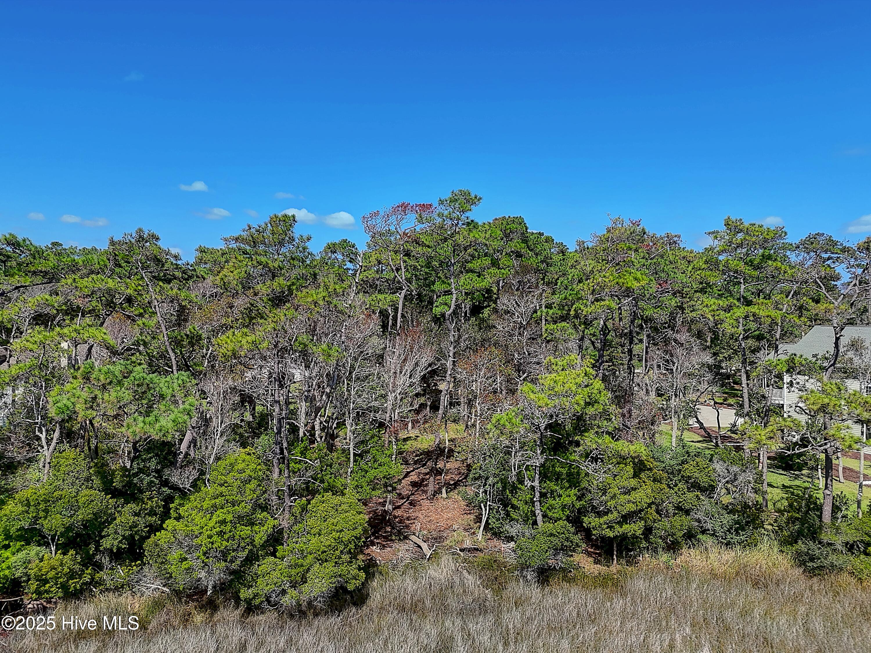 100533806 | Photo 18