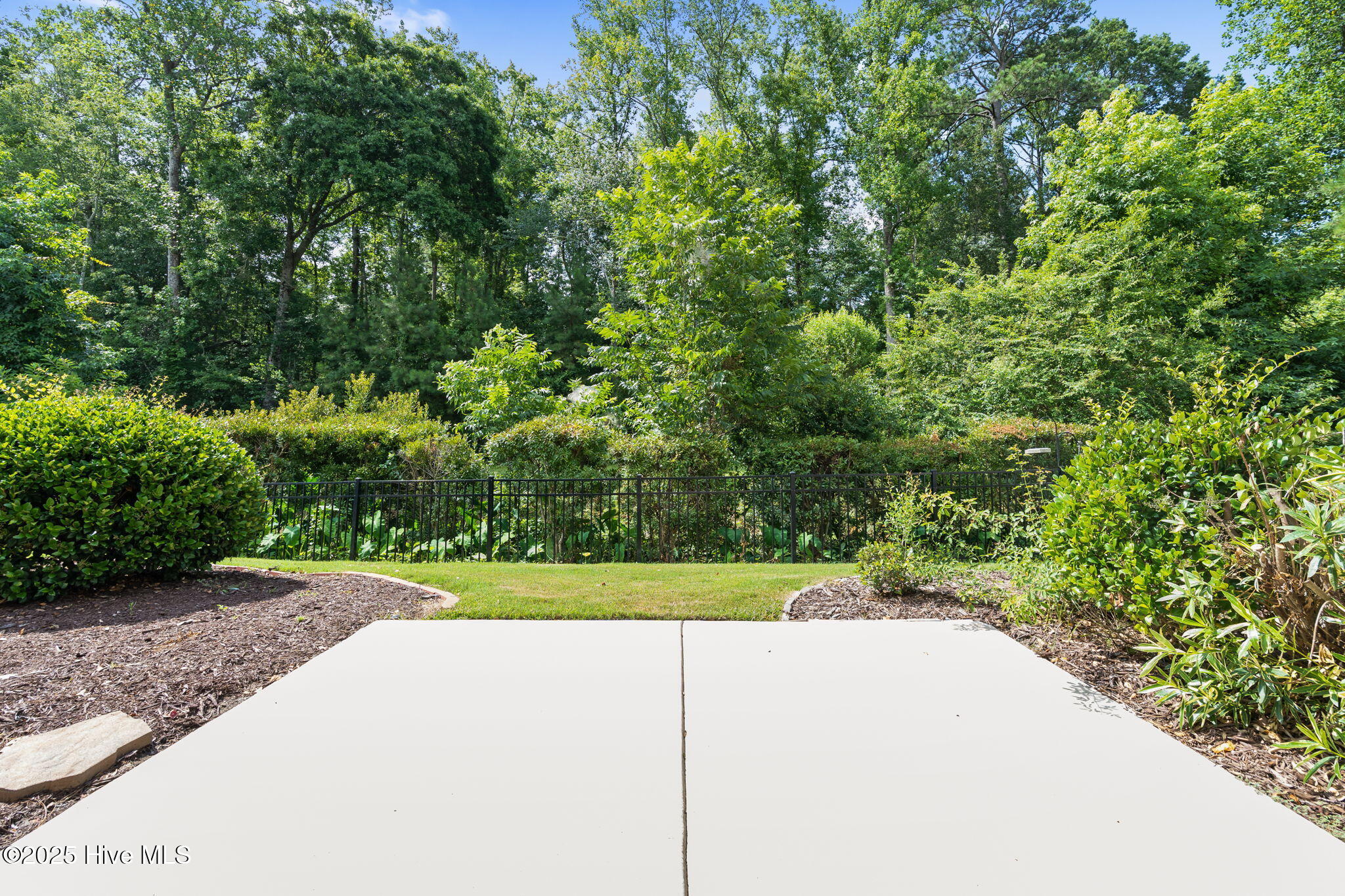 100517445 | Photo 32