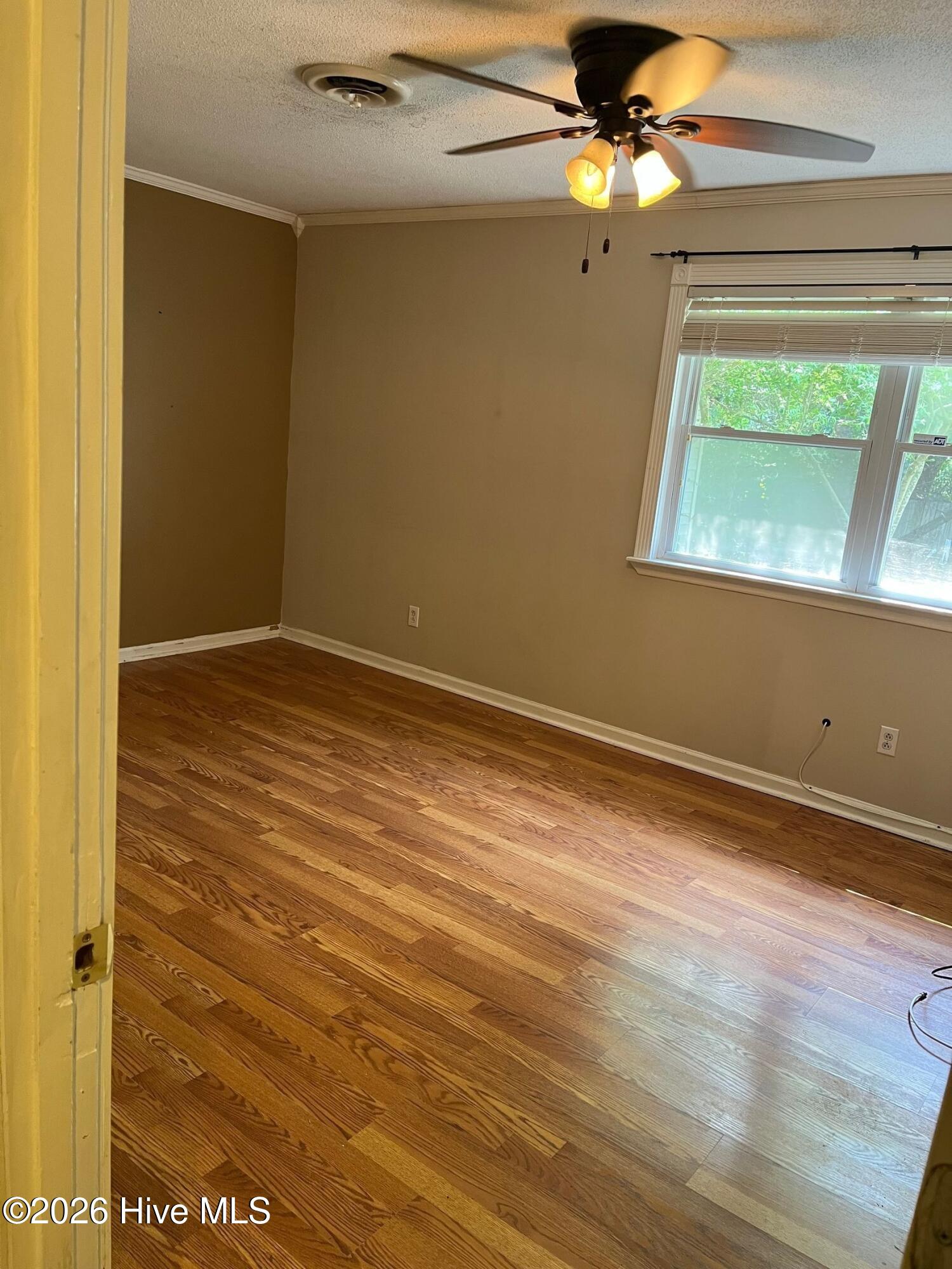 100569627 | Photo 16