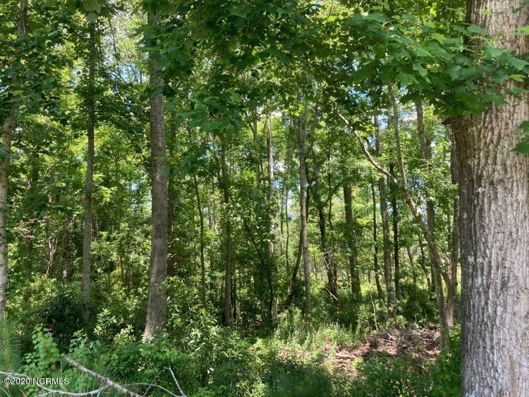 100487390 | Photo 12