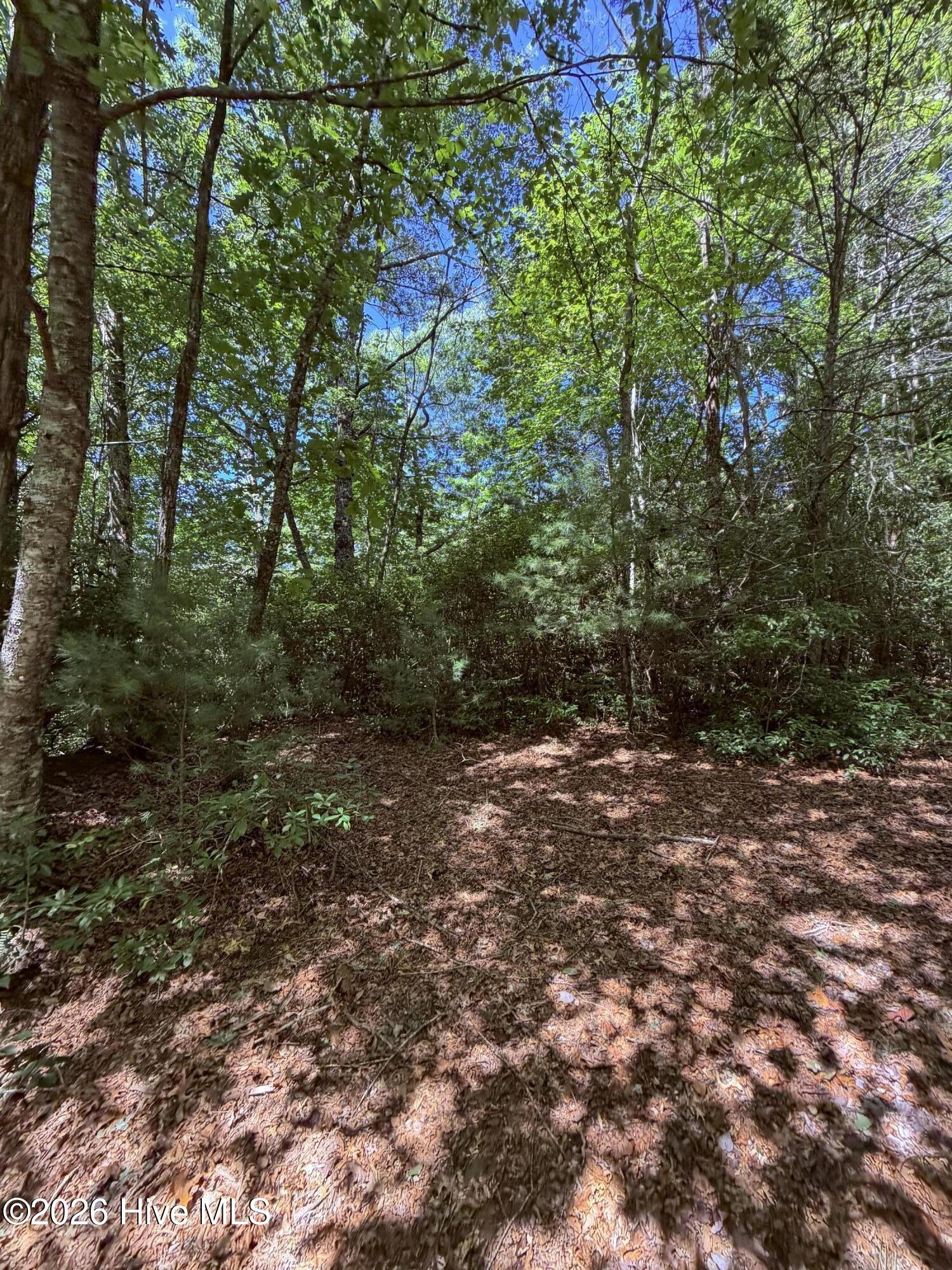 100607475