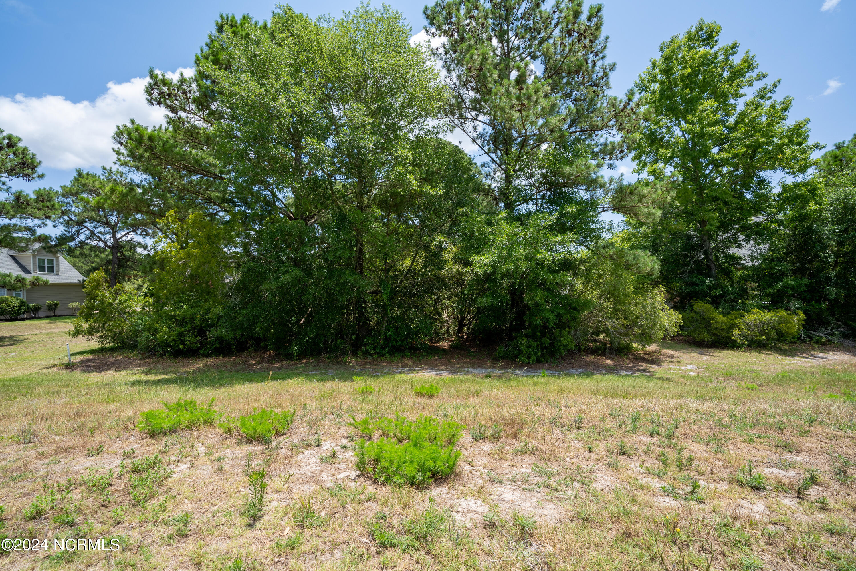 100460778 | Photo 14