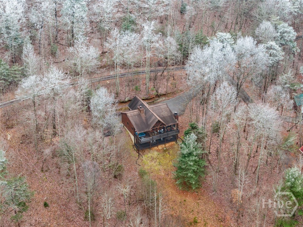 437 Spruce Circle