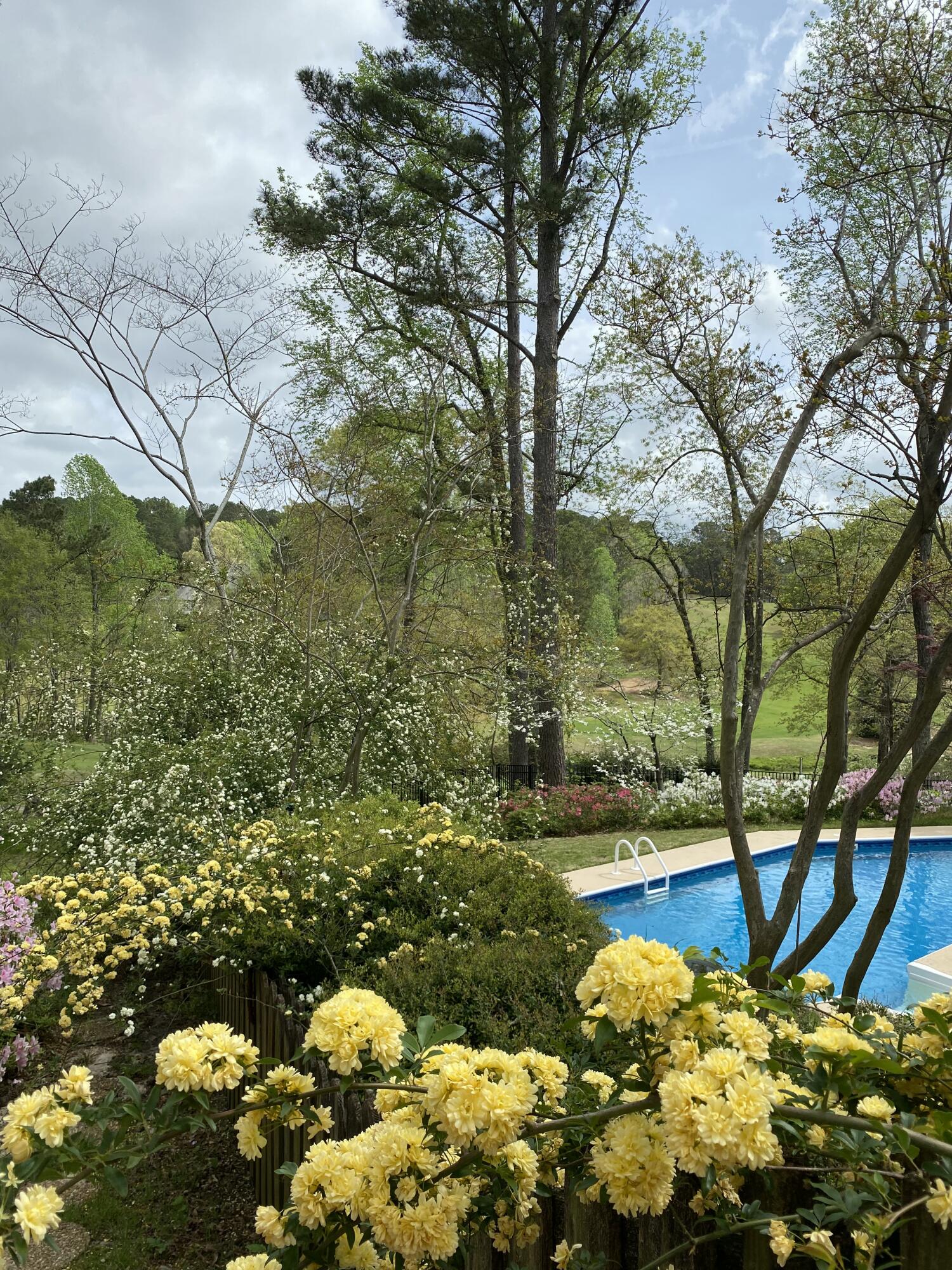 Homes for sale in Aiken, SC | 313 Live Oak Rd, Aiken, SC 29803 | MLS# 521989