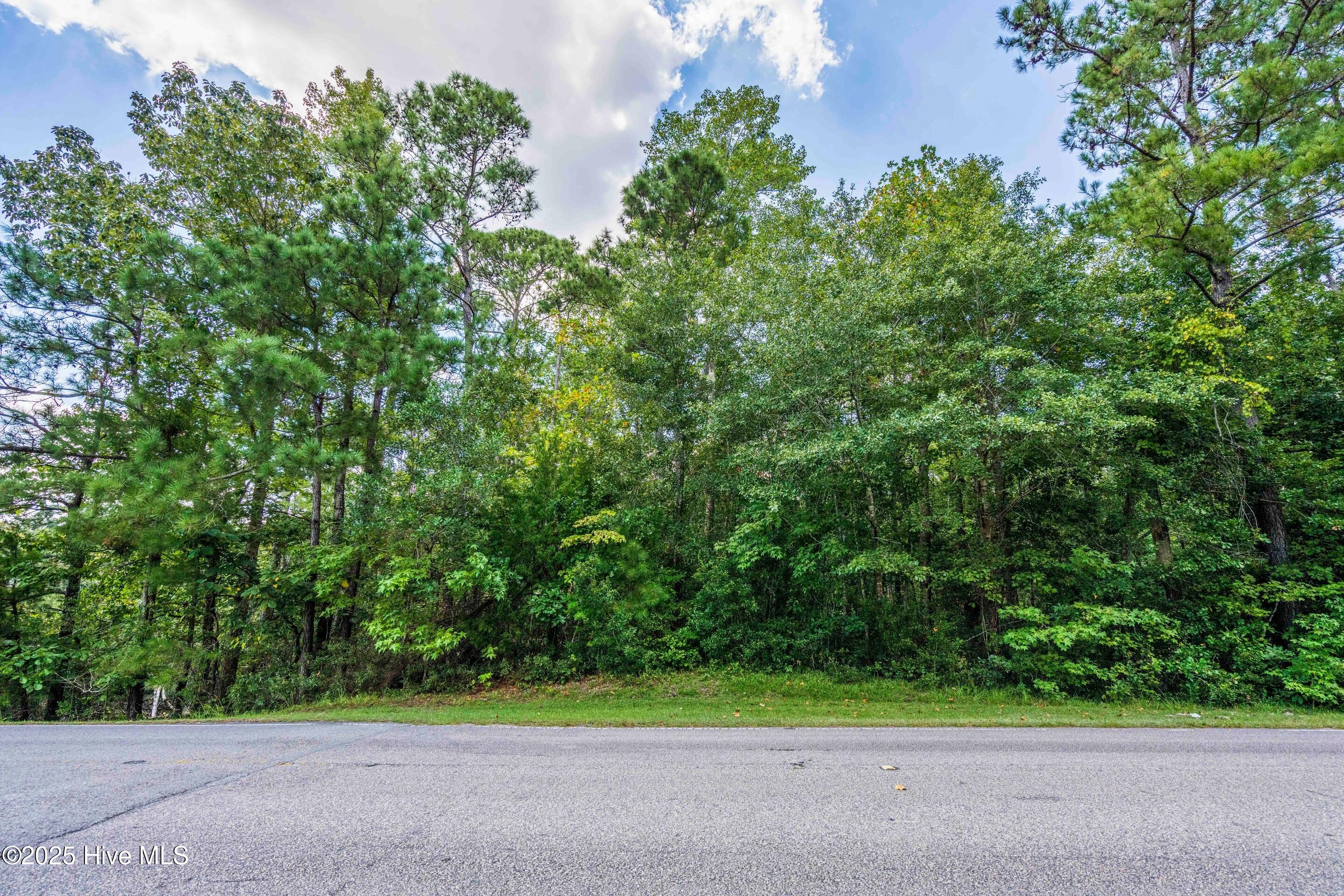 100528995 | Photo 20