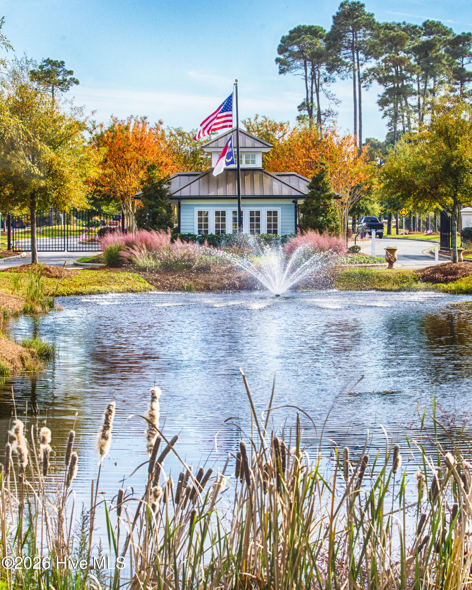 100554369 | Photo 45