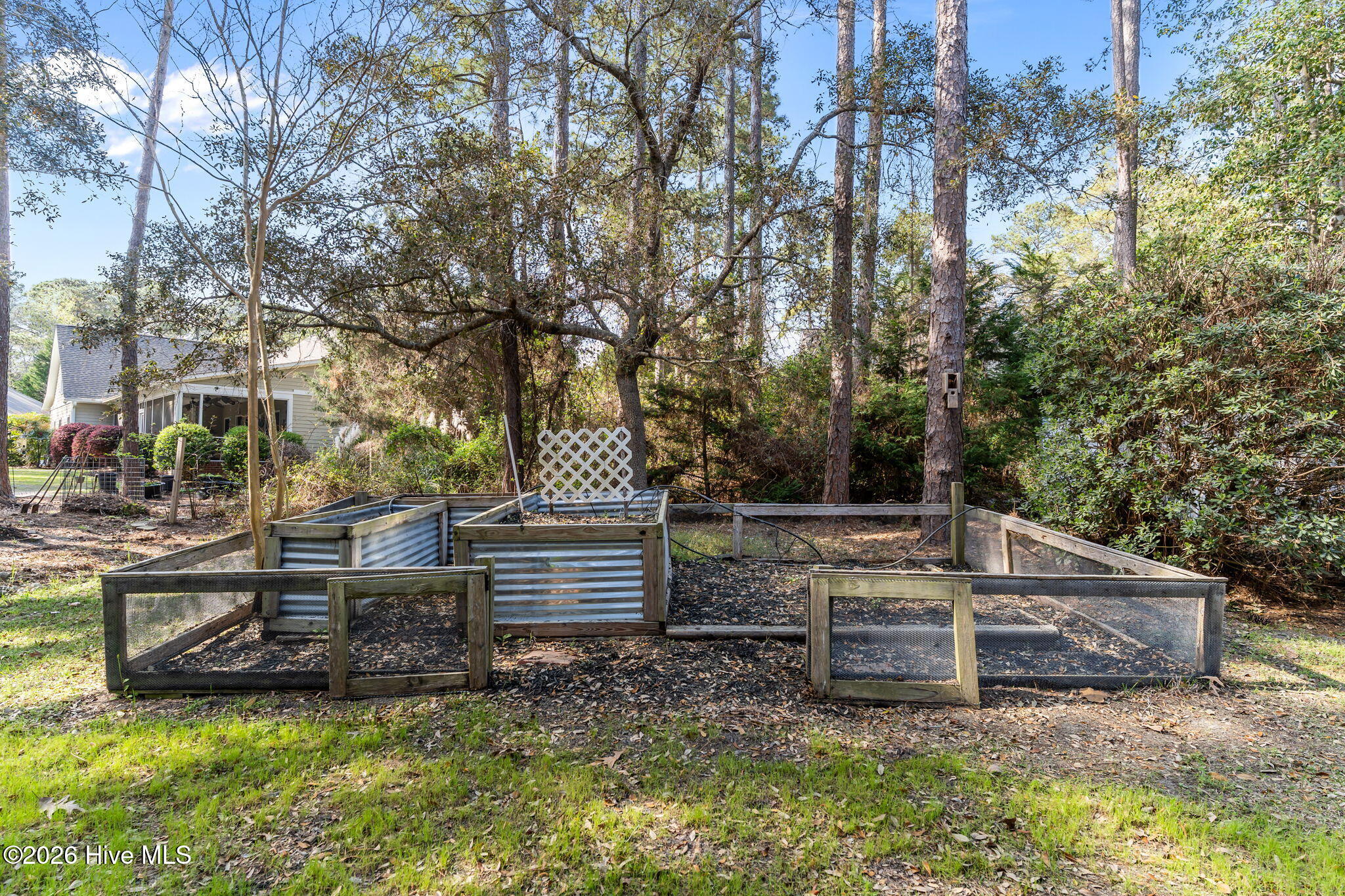 100562796 | Photo 44