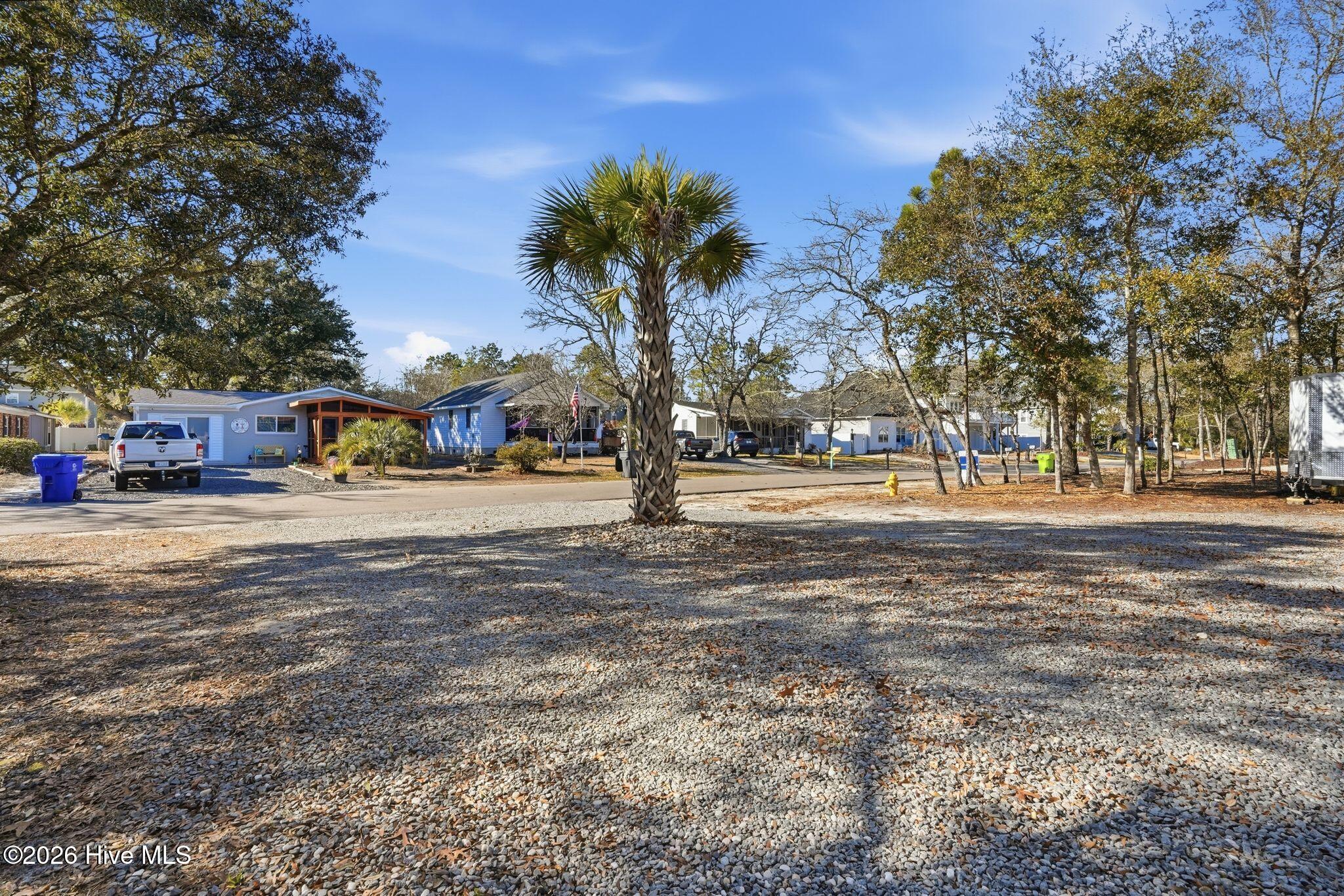 100555111 | Photo 85