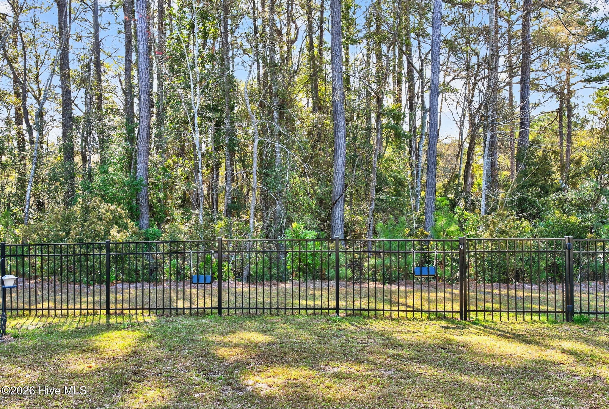 100559811 | Photo 41