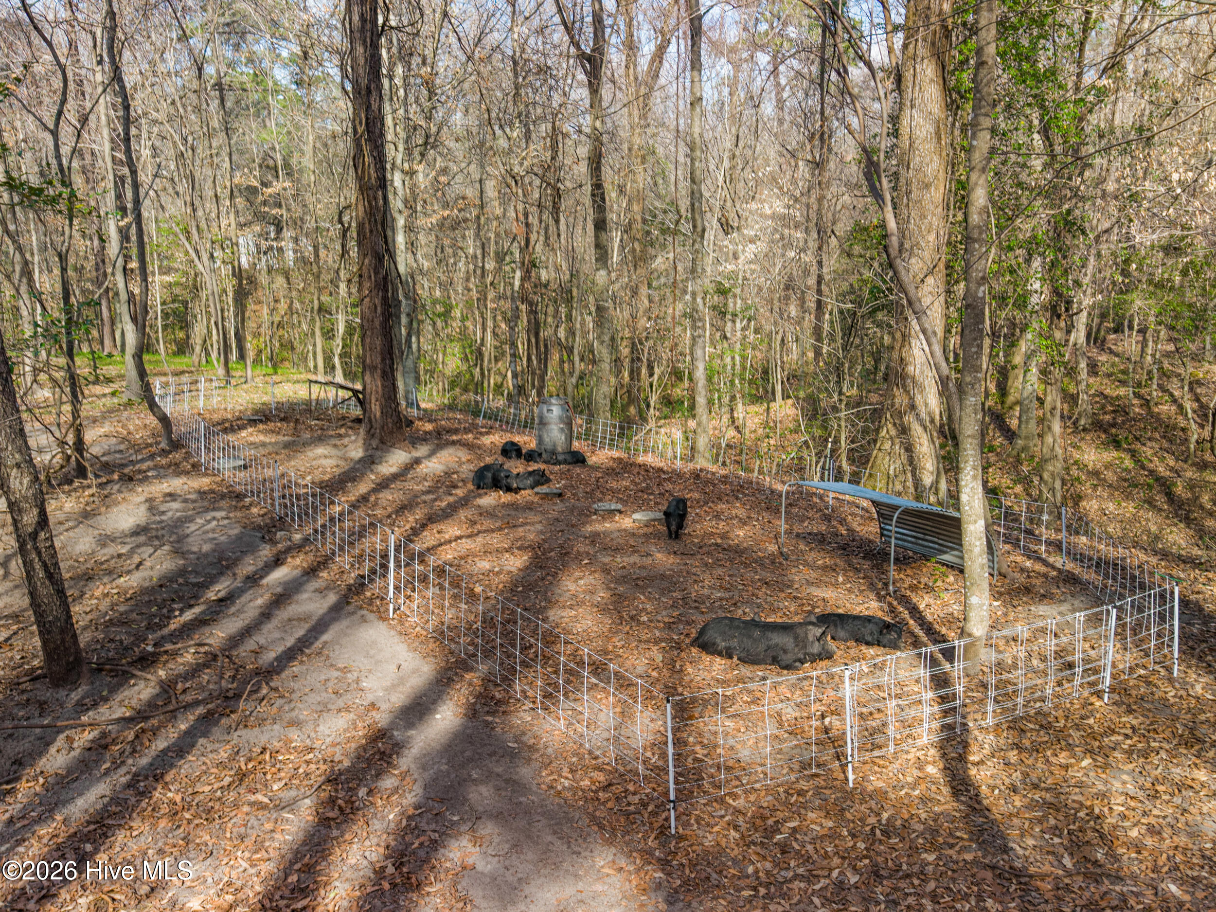 100558735 | Photo 63