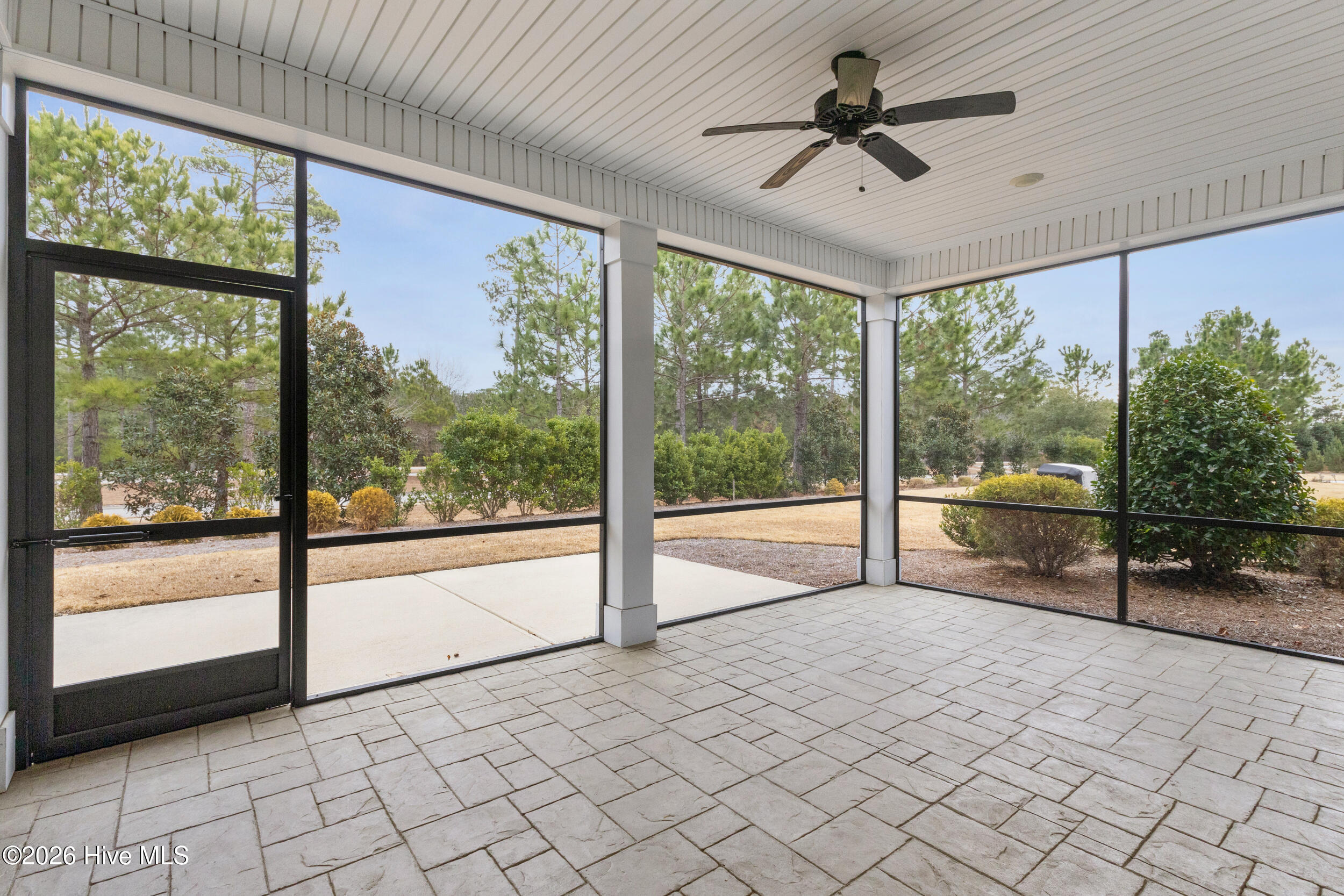 100556114 | Photo 45