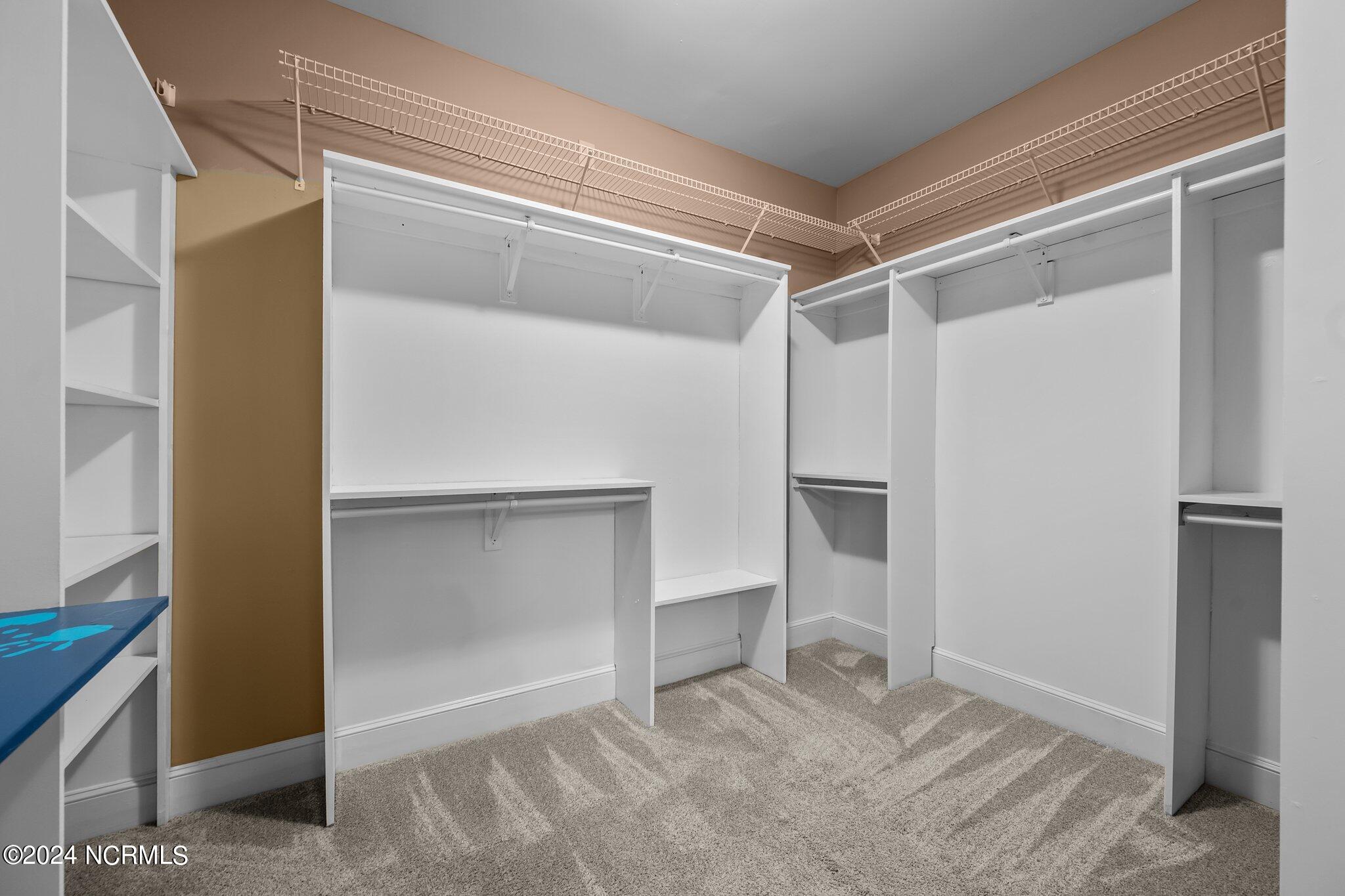 100528351 | Photo 31