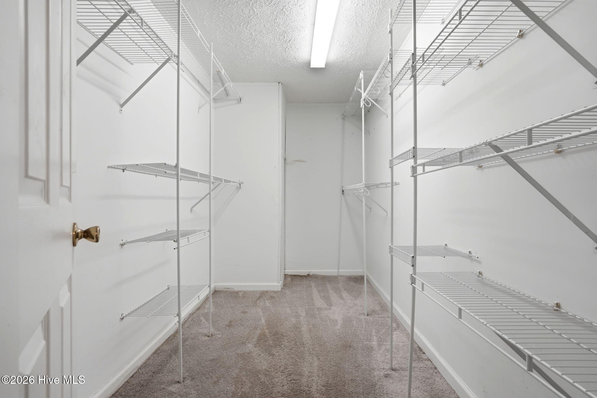 100556115 | Photo 64