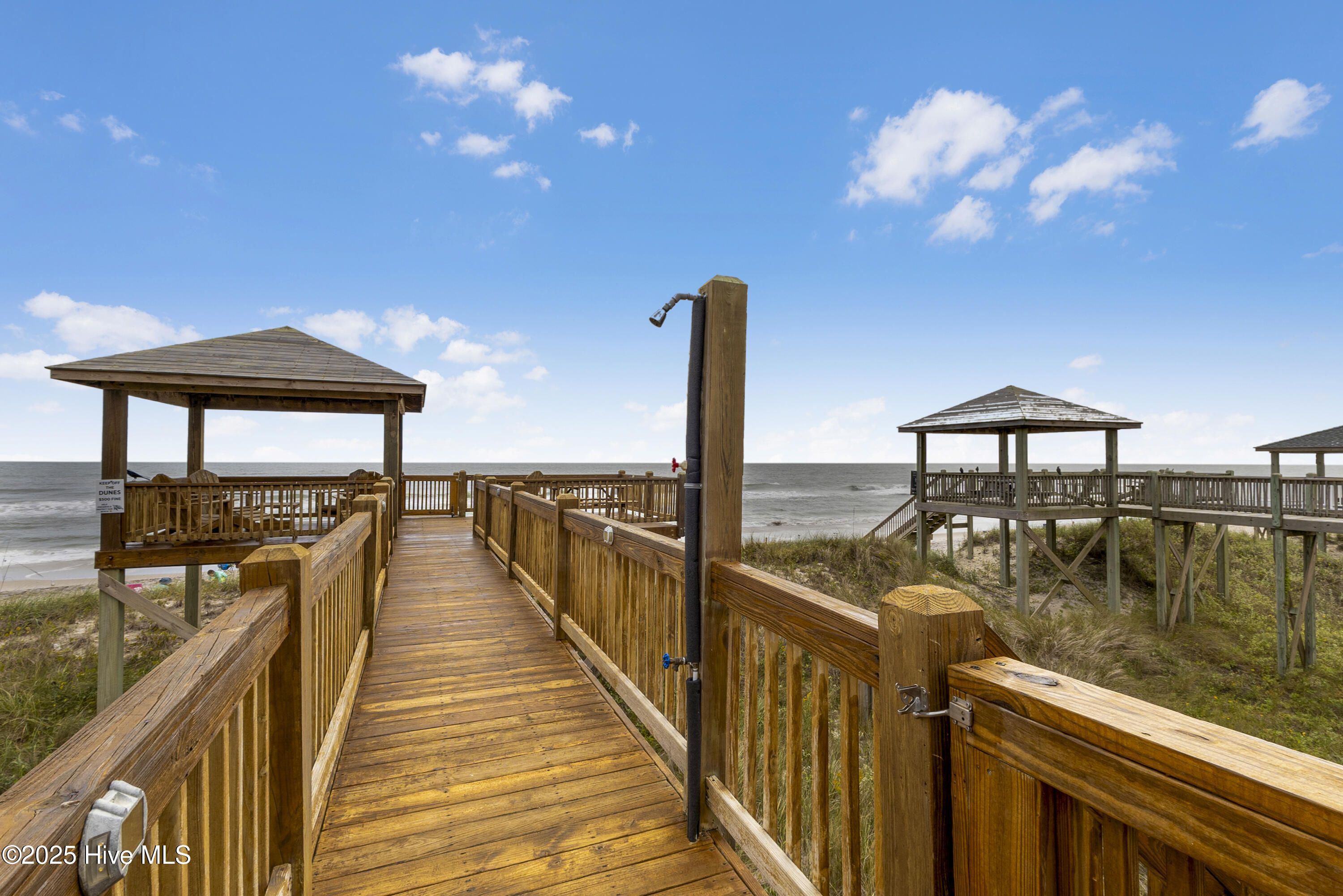 100557333 | Photo 54