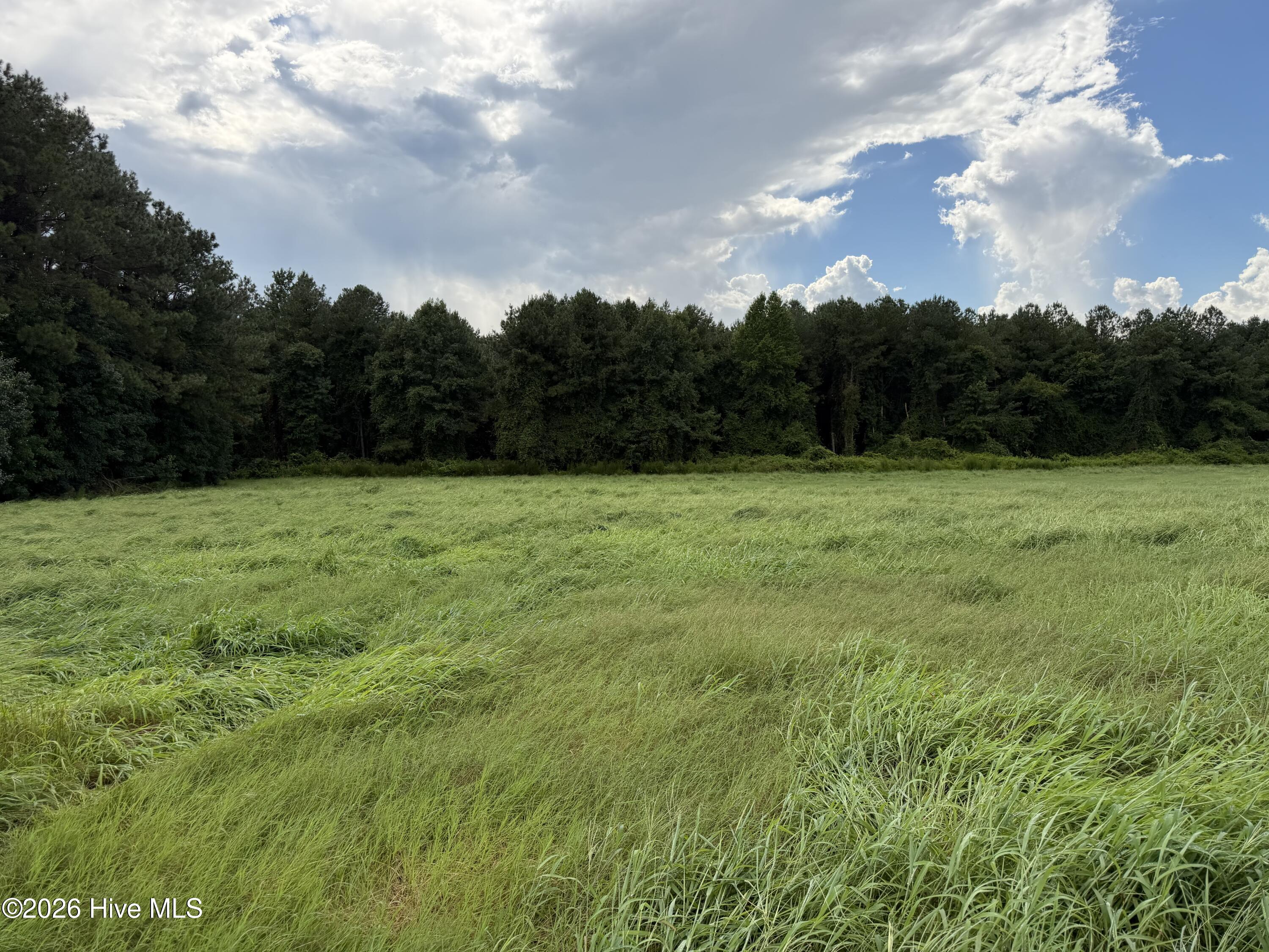 4th image of 0 Mills Rd, Goldsboro, NC 27530 | MLS# 100596094