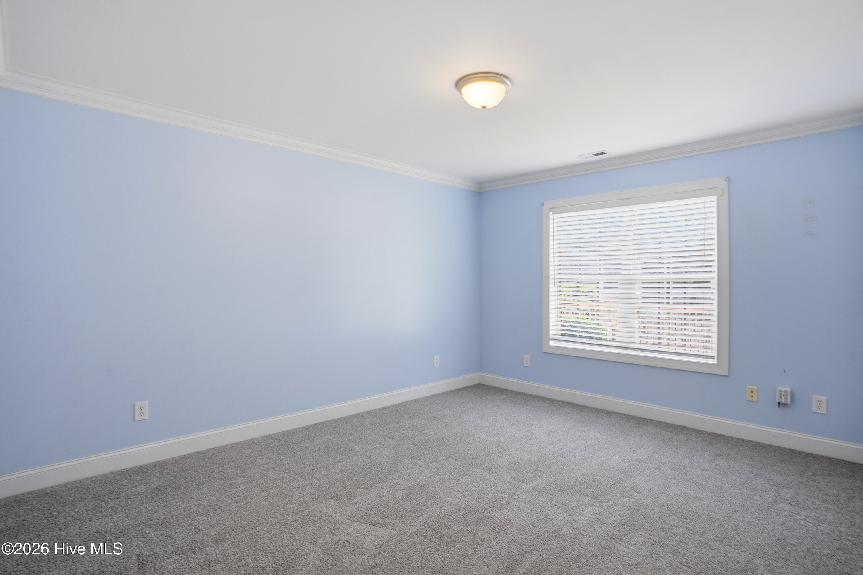 100562677 | Photo 24