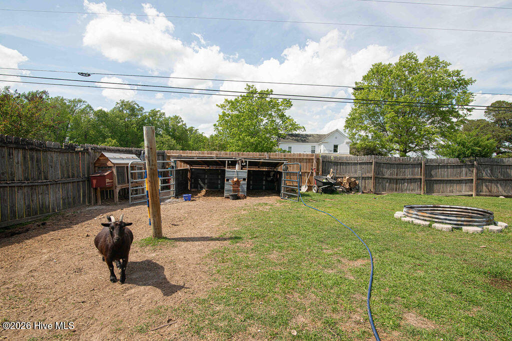 100567733 | Photo 41