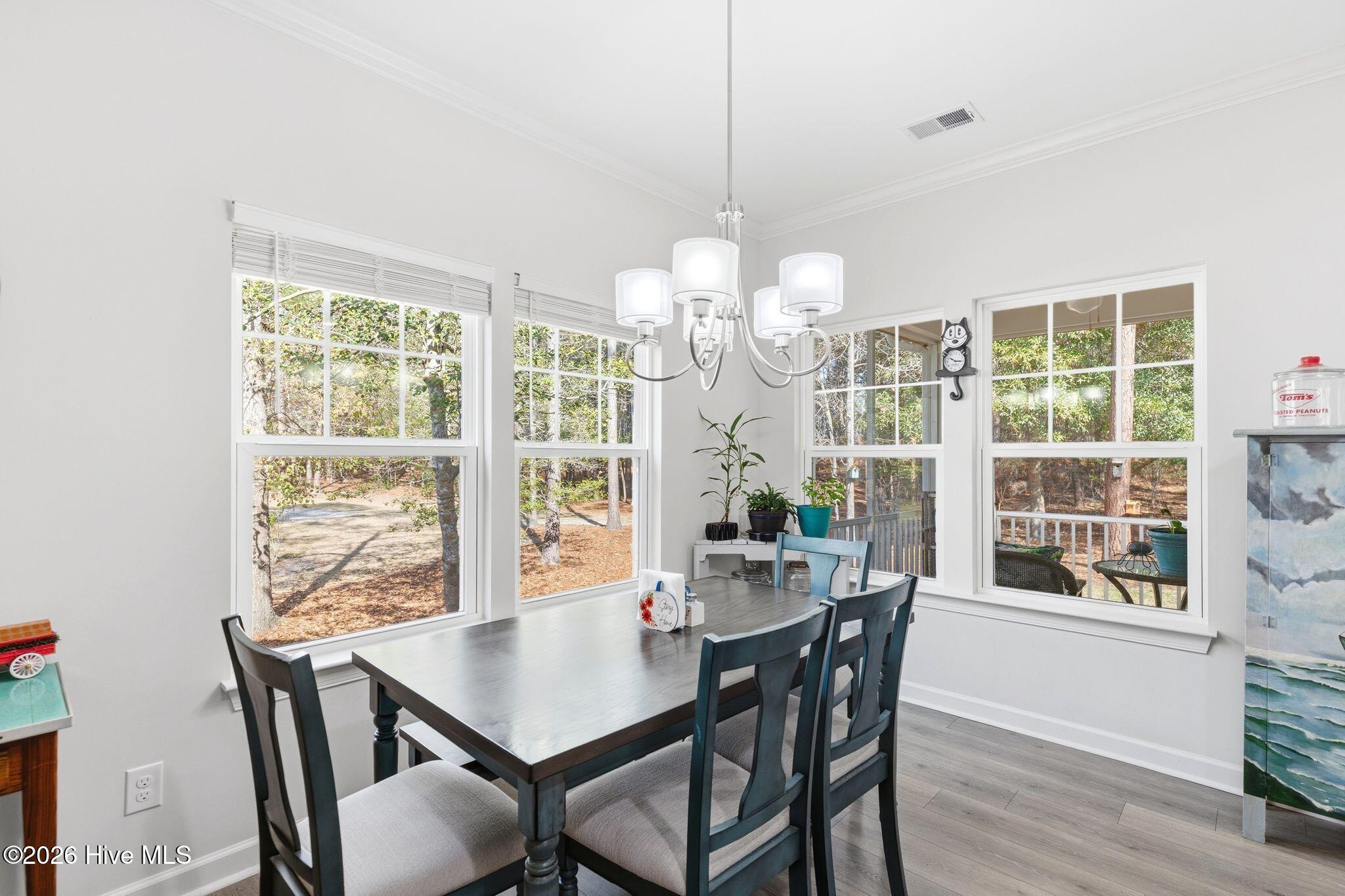 100558681 | Photo 14