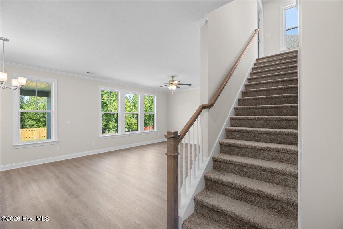 15-Stair Landing