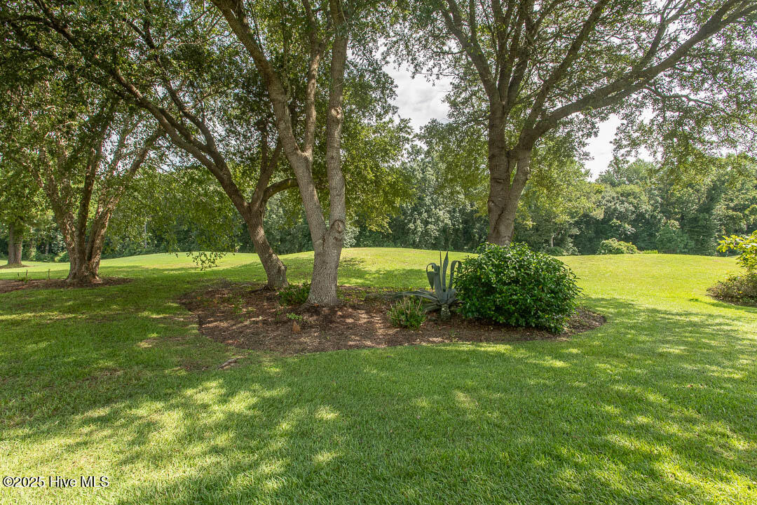 100526043 | Photo 55