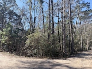 138-140 Dogwood Lane, Midway, GA, 31320