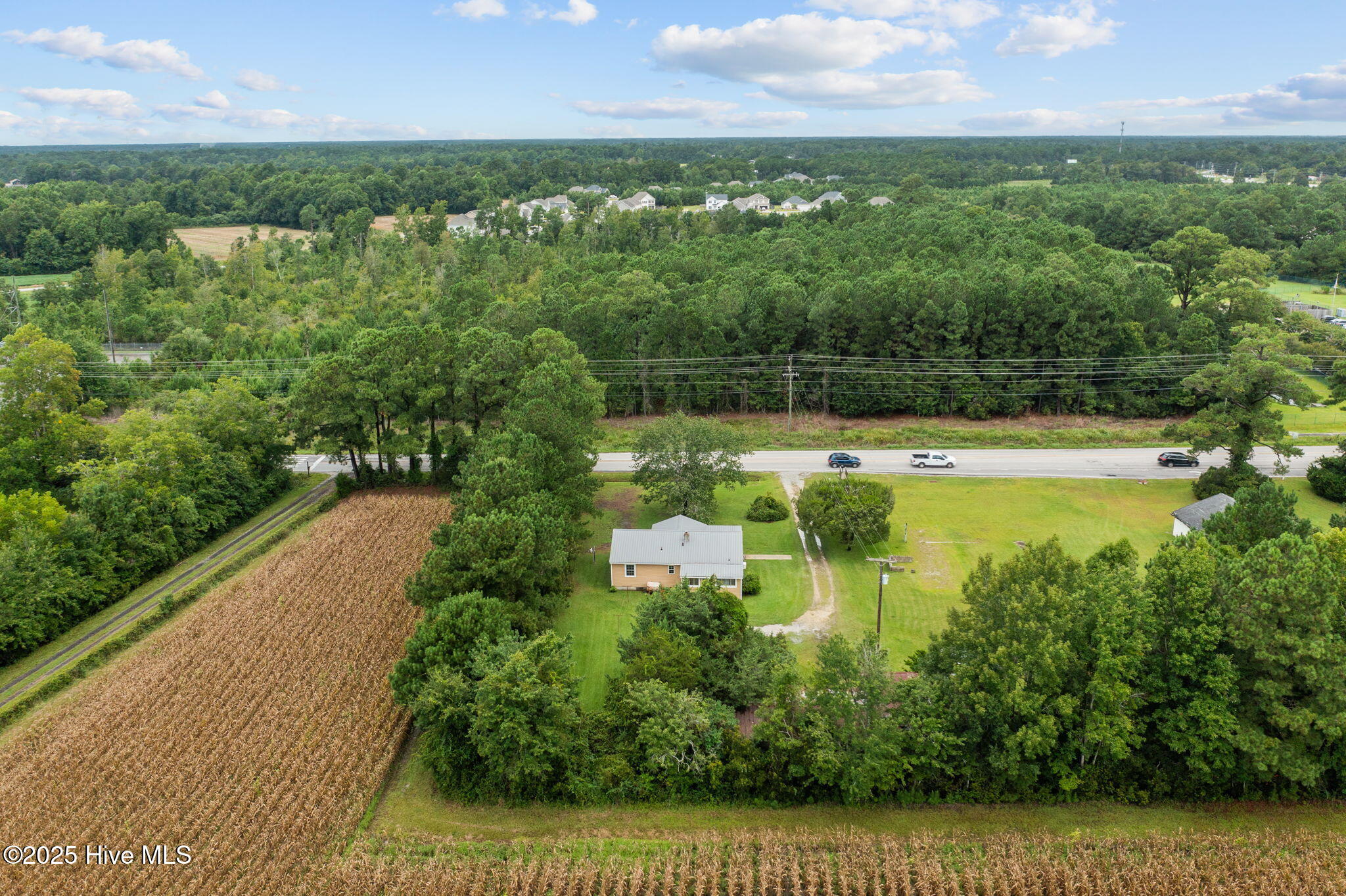 100526593 | Photo 45