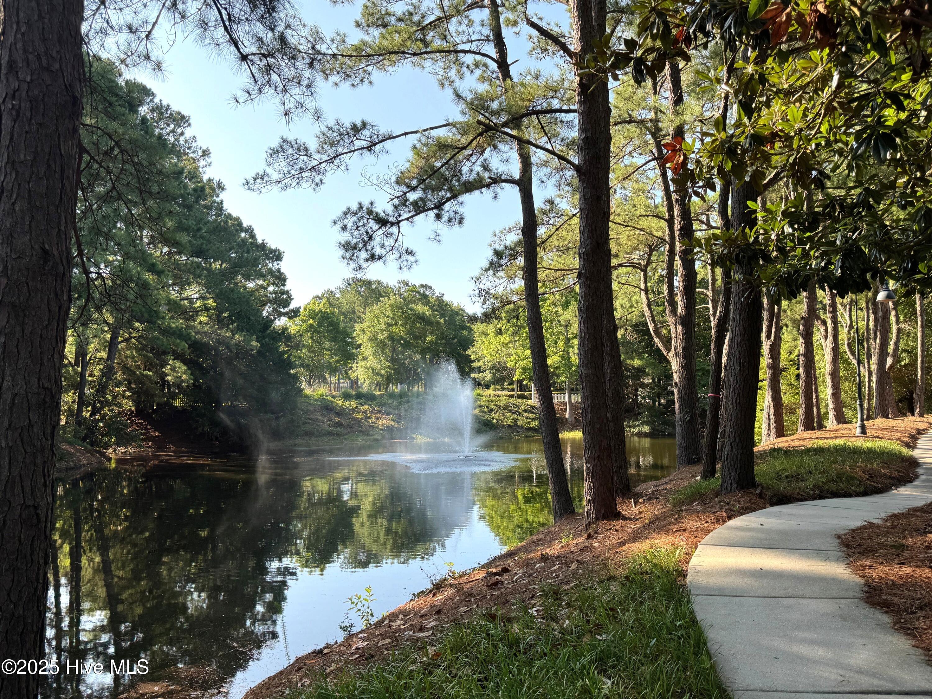 100517426 | Photo 67