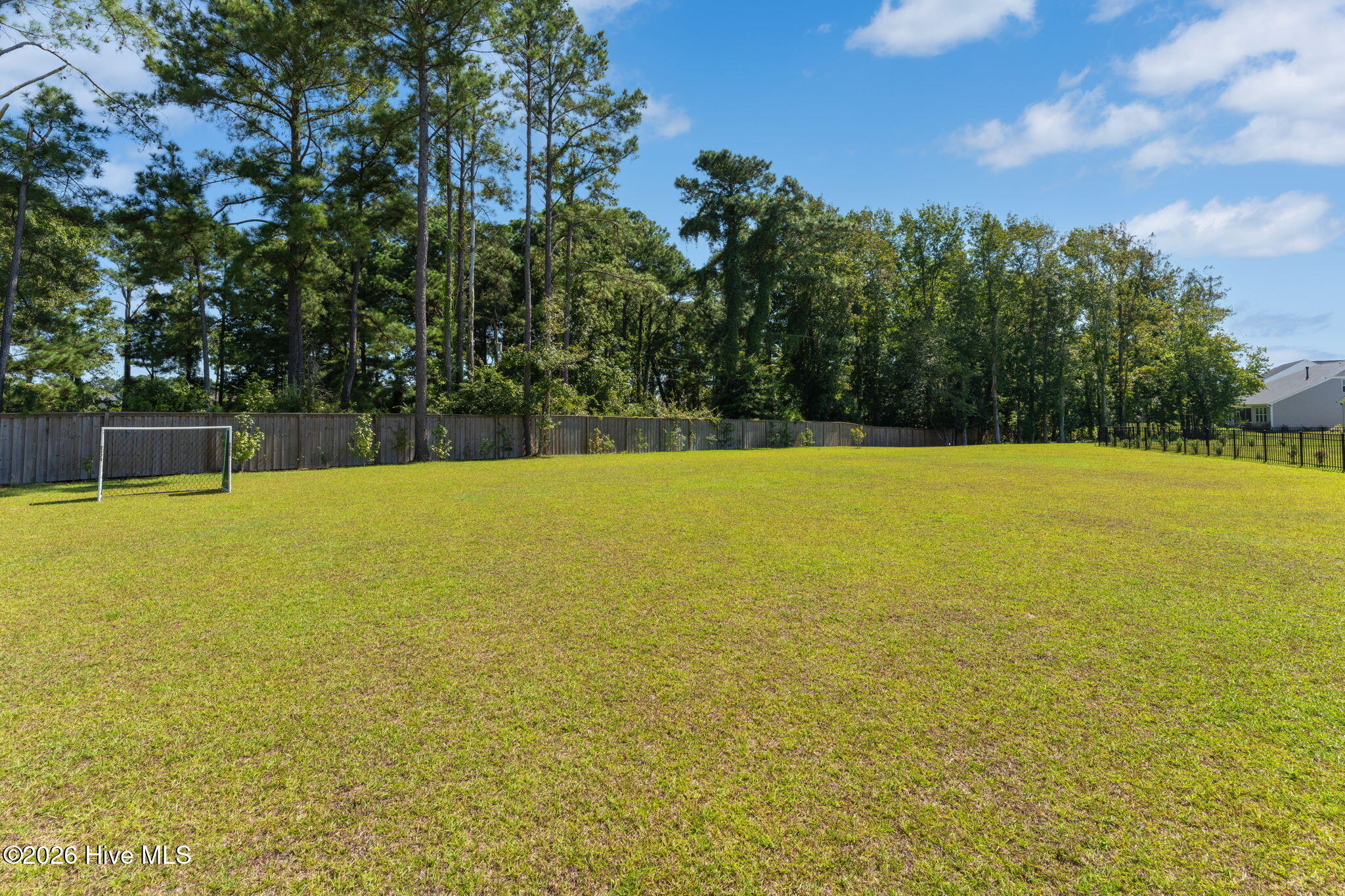 100564713 | Photo 56