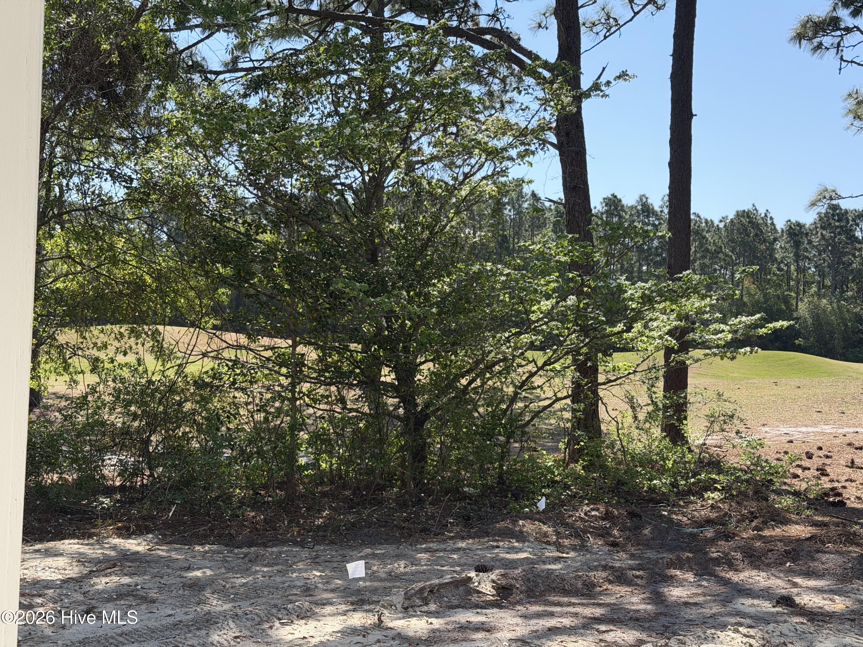 100568393 | Photo 22