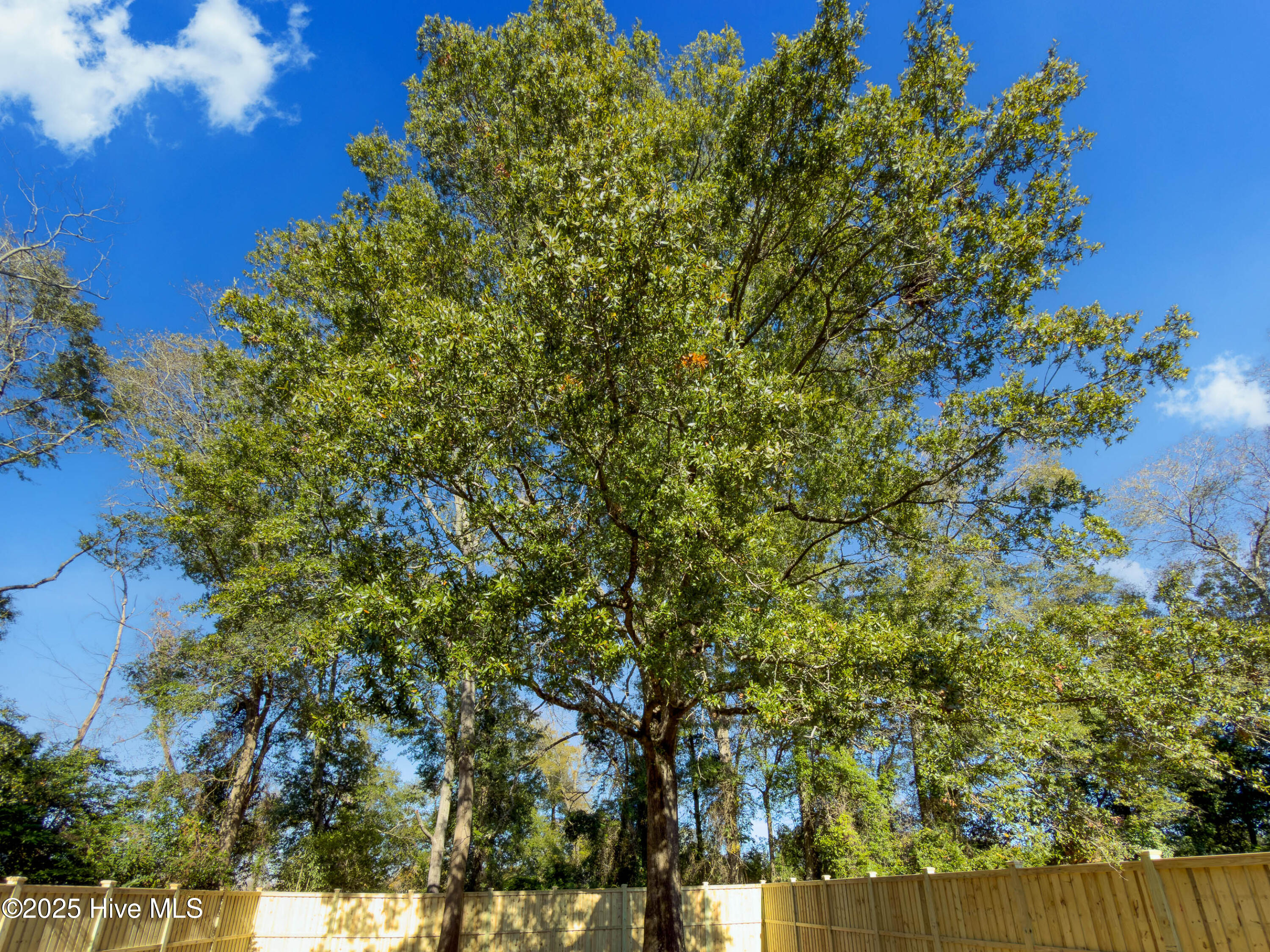 100547481 | Photo 32