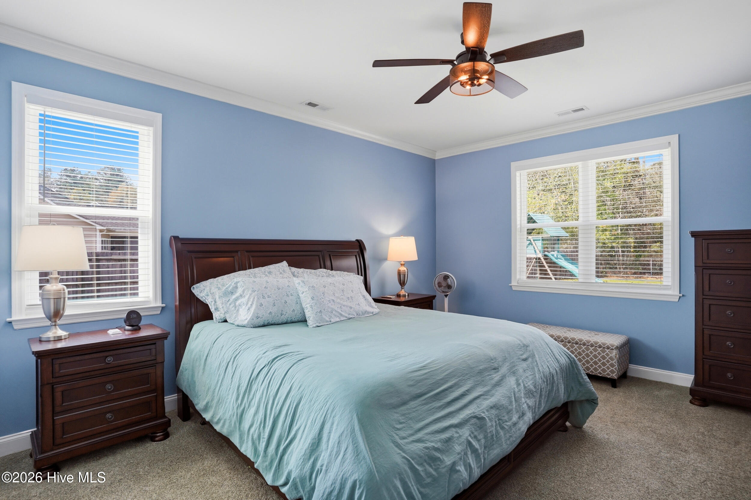 100562435 | Photo 16