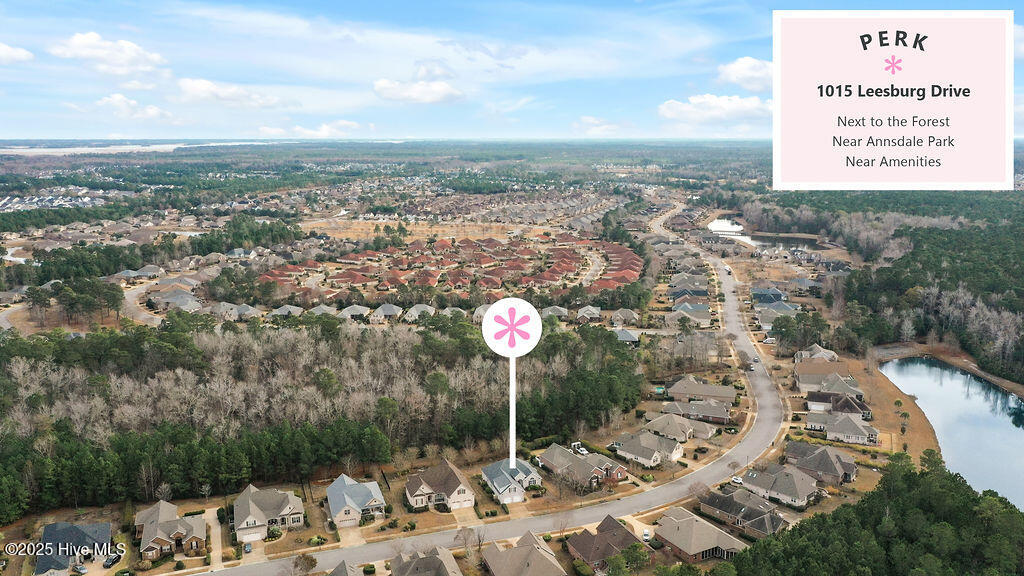 100544597 | Photo 47