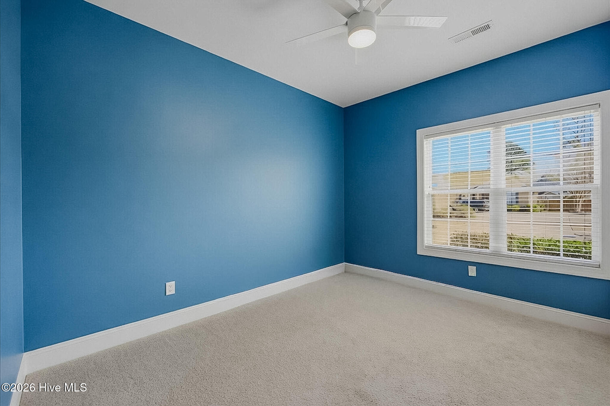 100554989 | Photo 28