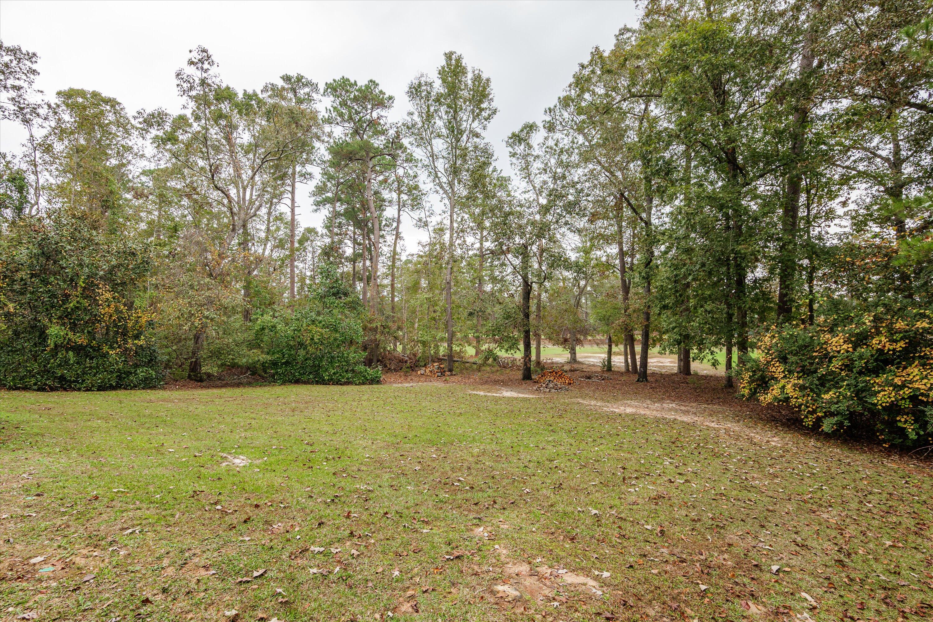 back yard1