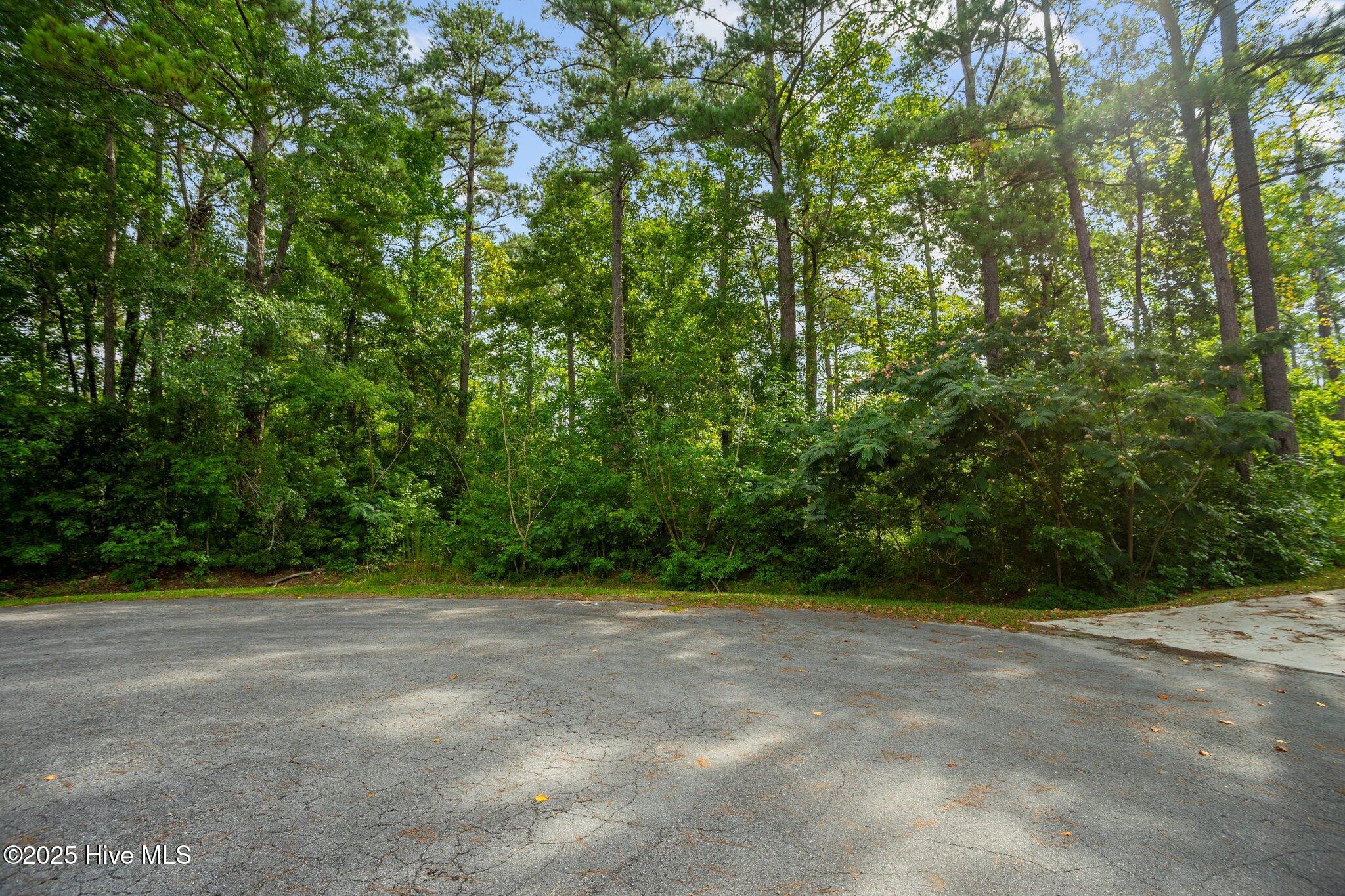 178 Marsh Run, Oriental, NC, 28571