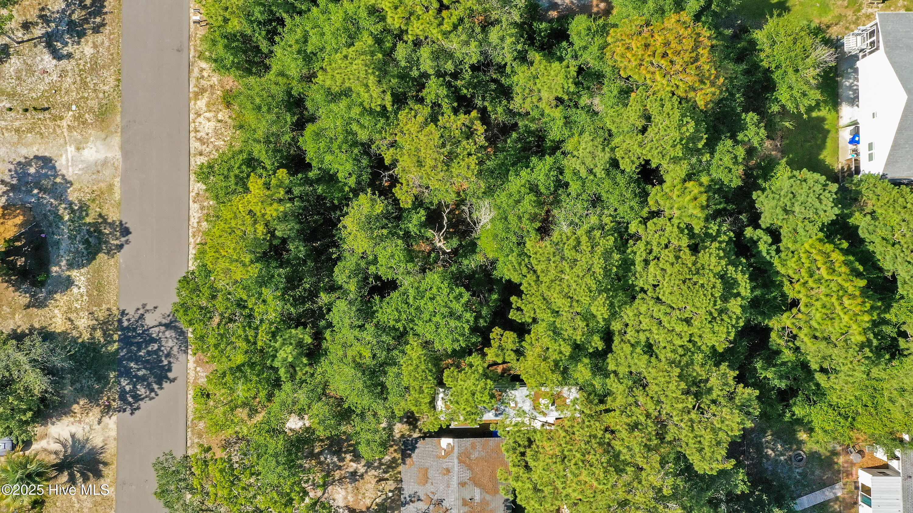 100517128 | Photo 11