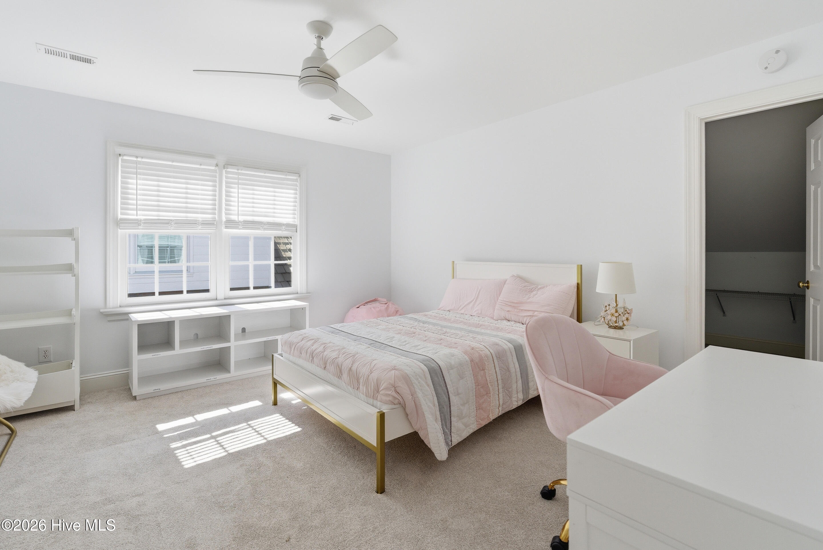 100538955 | Photo 29