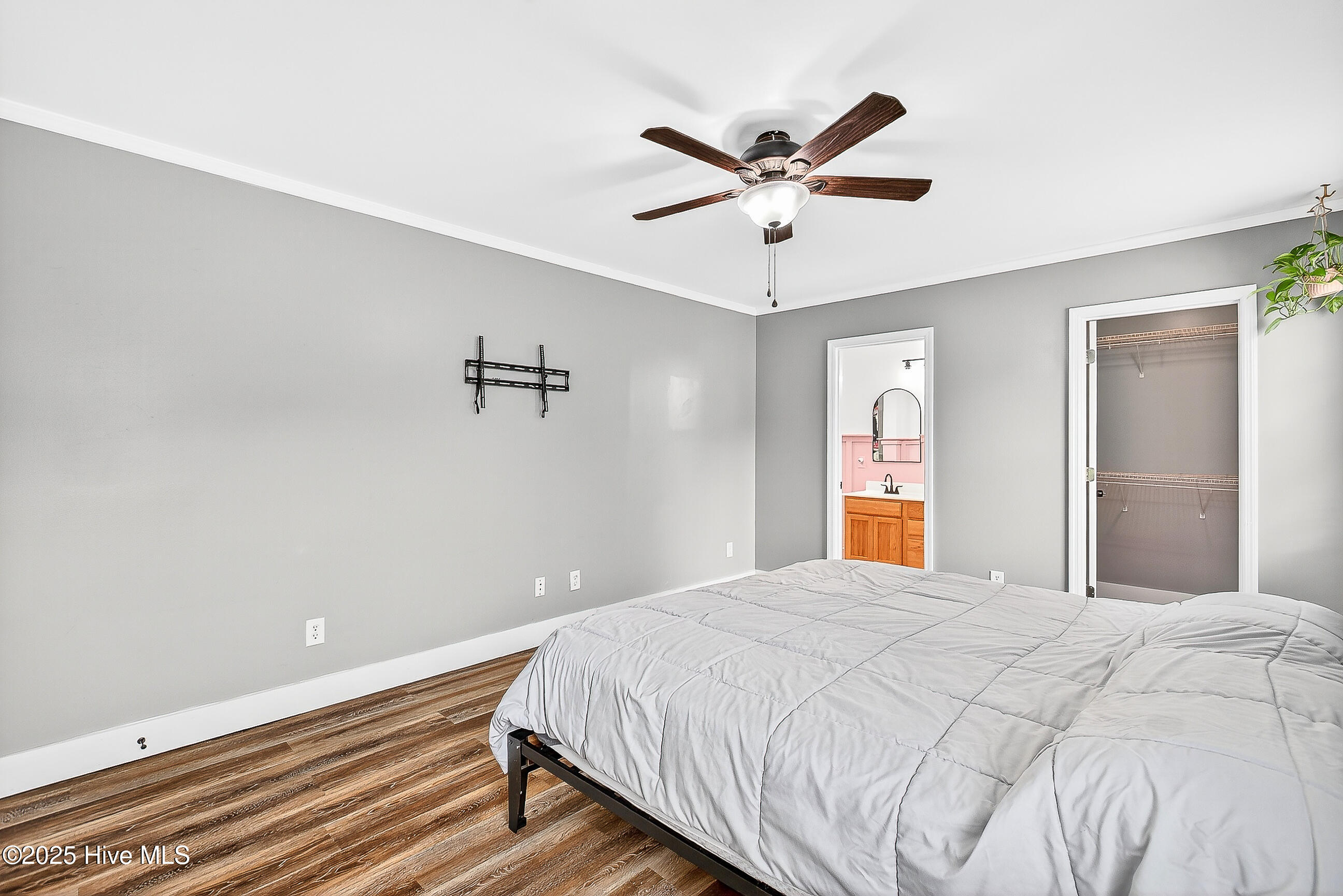 100538786 | Photo 14