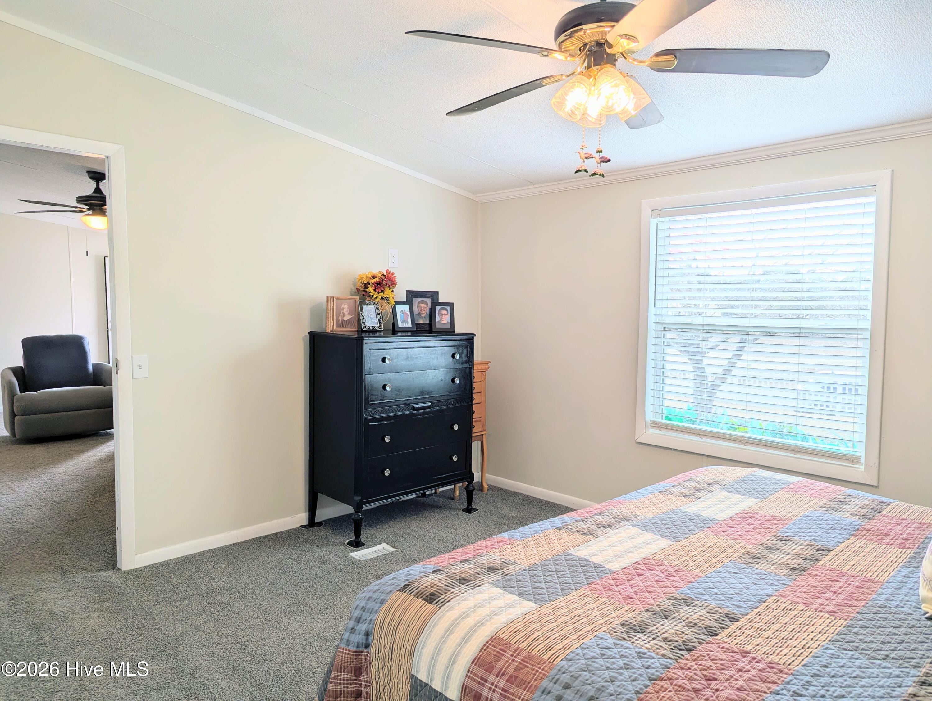 100556092 | Photo 14