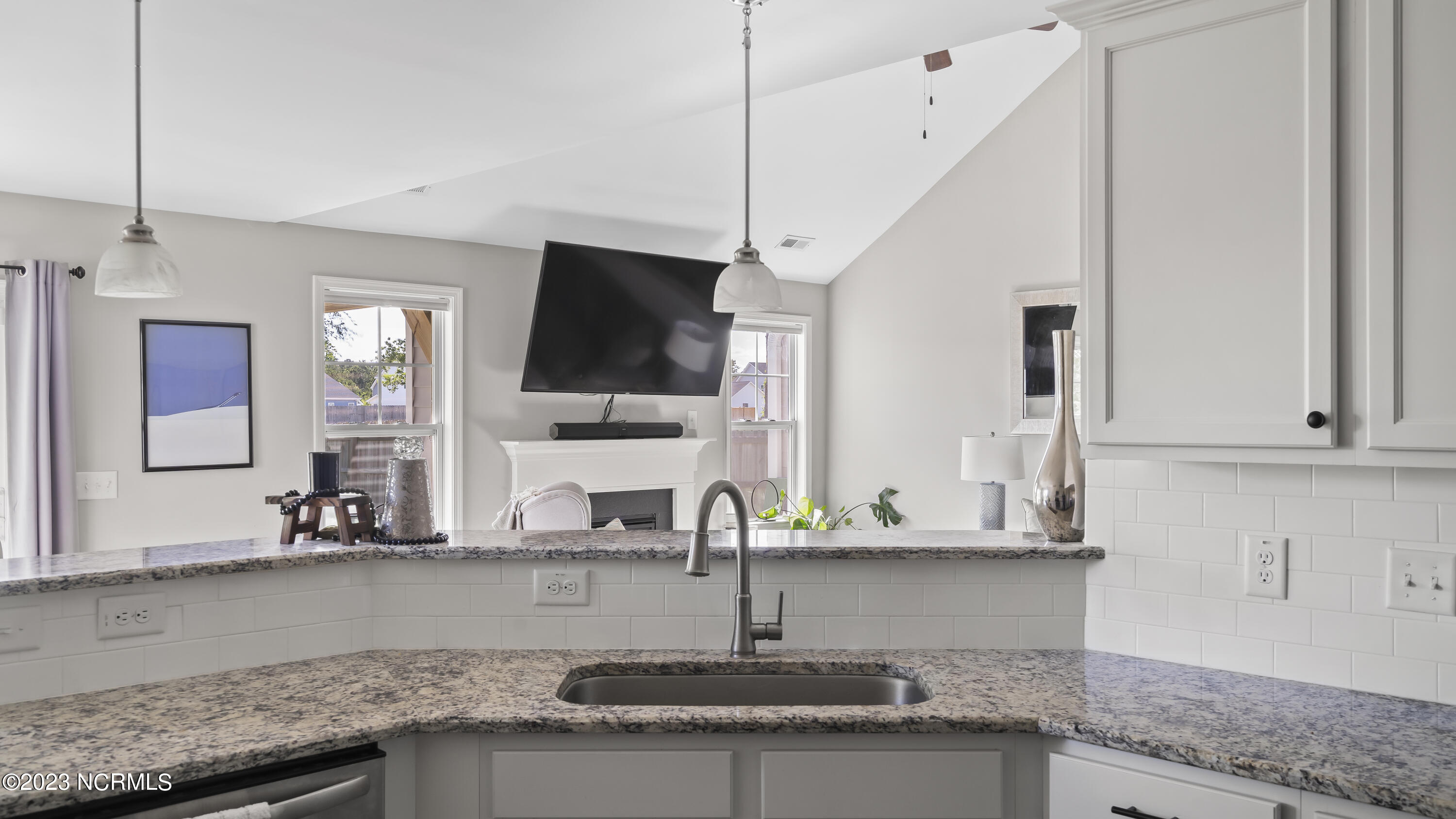 100563607 | Photo 20