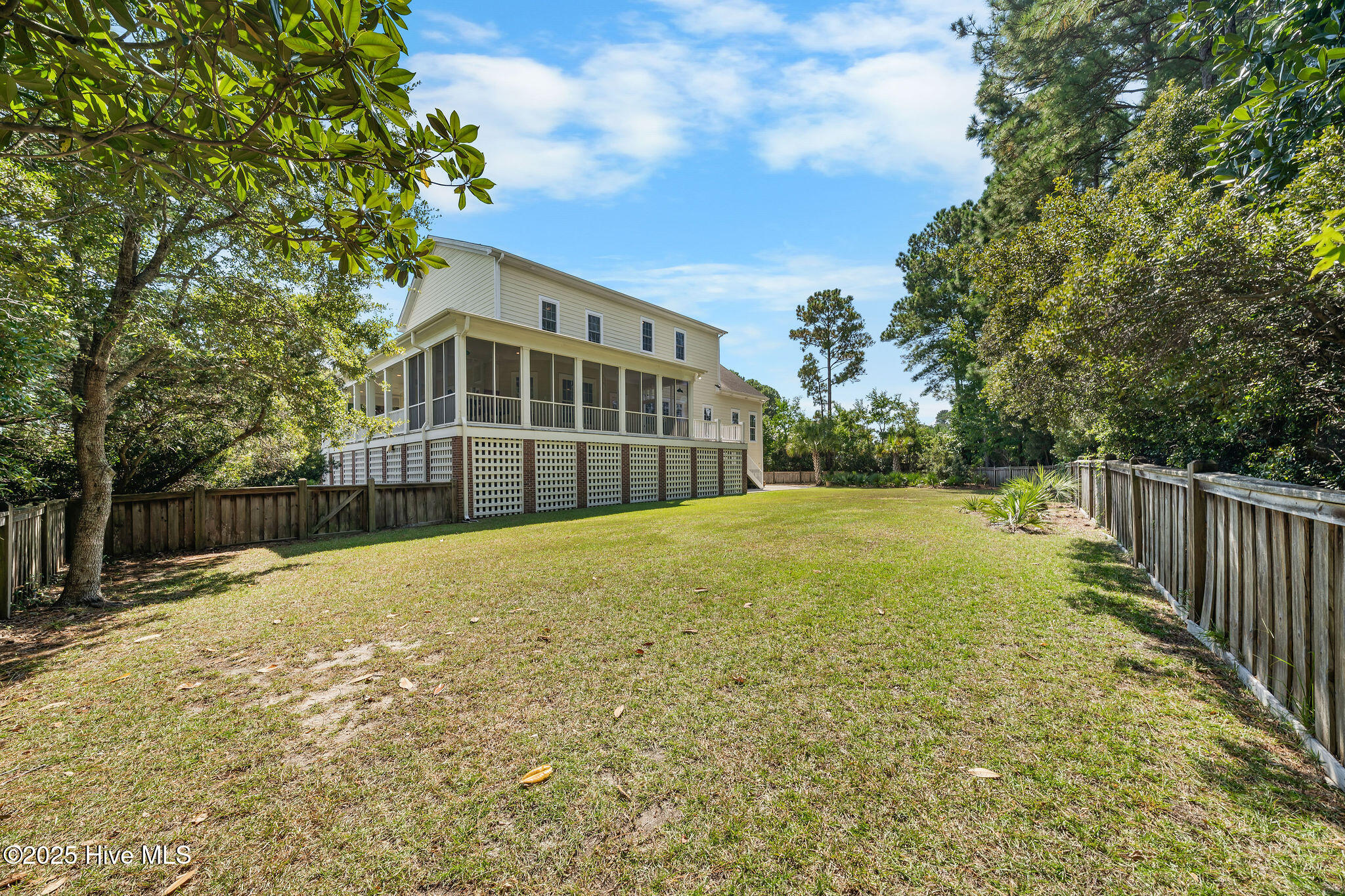 100532416 | Photo 95