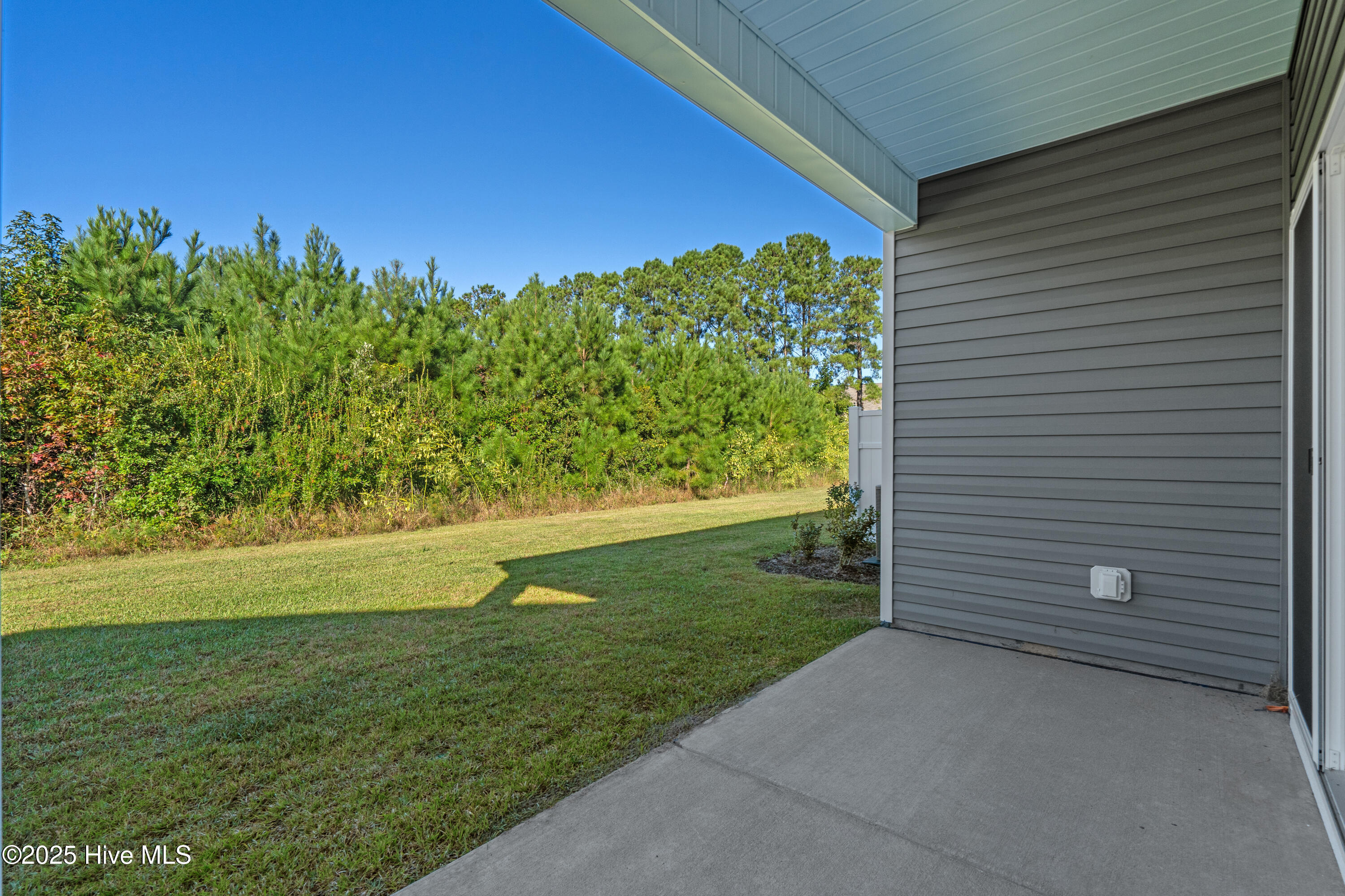 100536973 | Photo 30