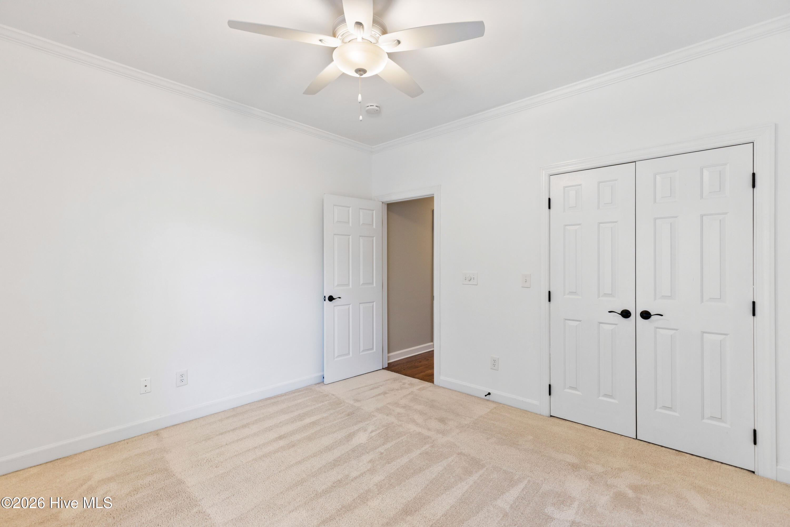 100560916 | Photo 60