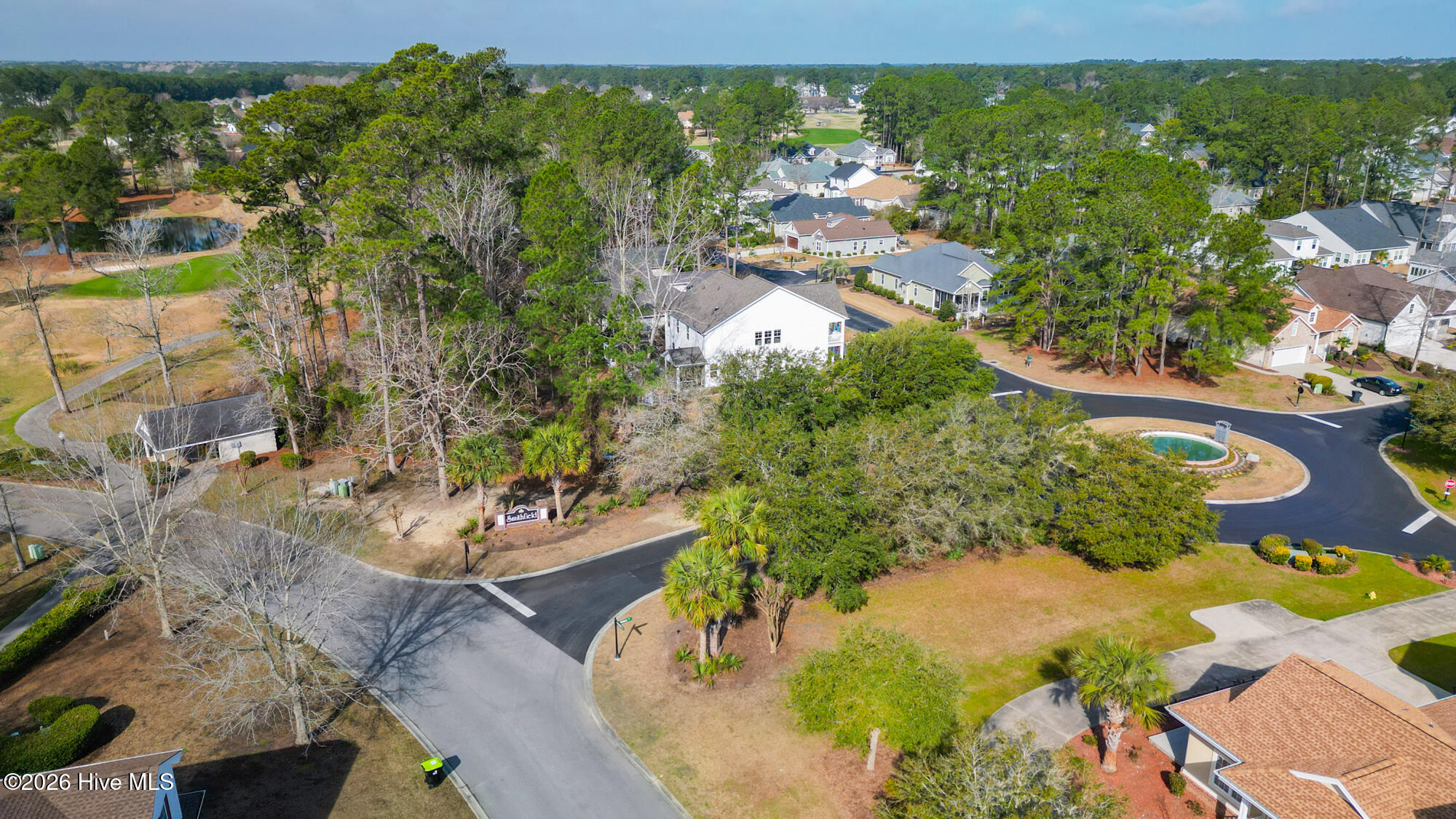 100558598 | Photo 13