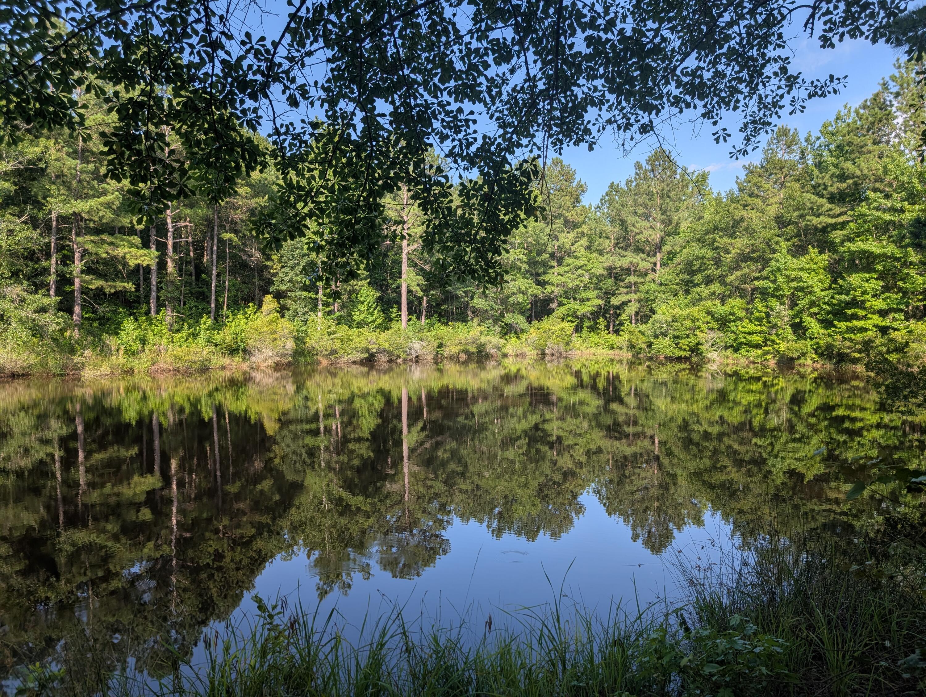 PXL_20250630_221003926.MP