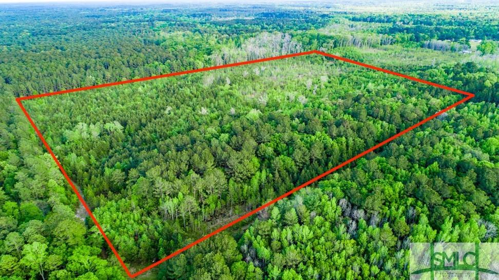 TBD Dunham Williams, Hardeeville, South Carolina, 0 ,Land,For sale,Dunham Williams,SA323984 TBD Dunham Williams, Hardeeville, South Carolina, 0 ,Land,For sale,Dunham Williams,SA323984
